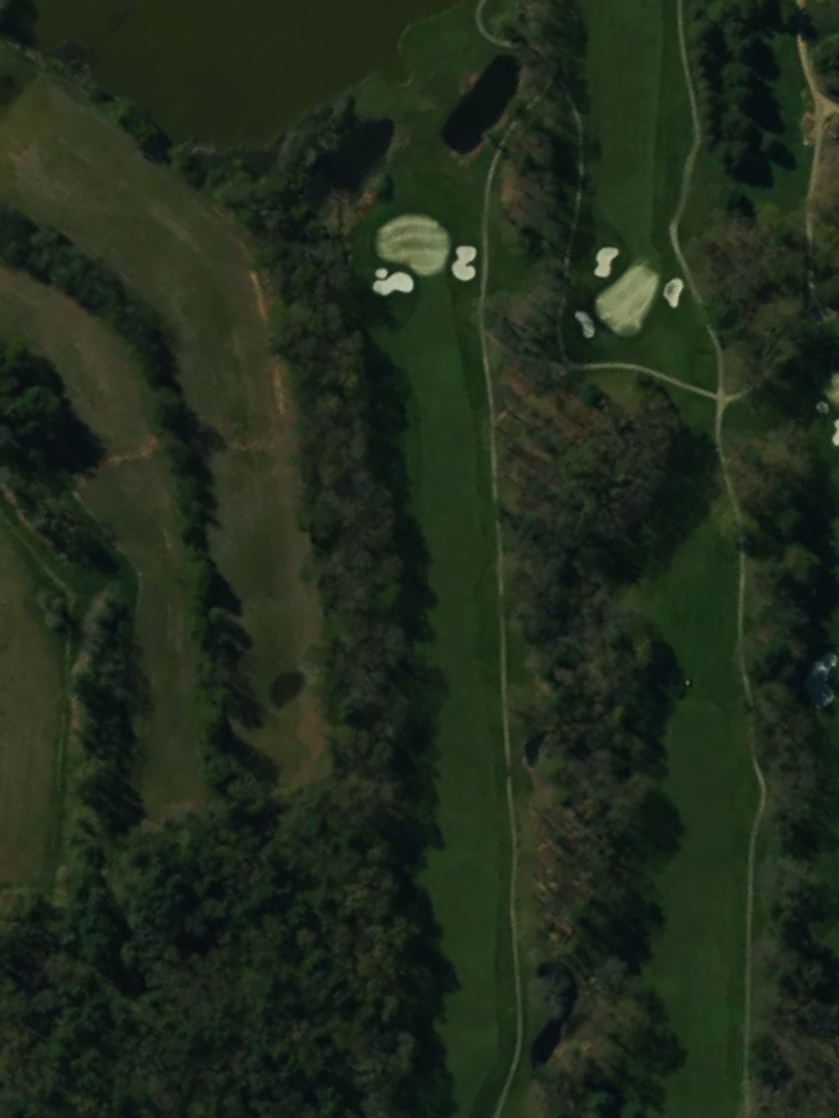 Hole 8 satellite