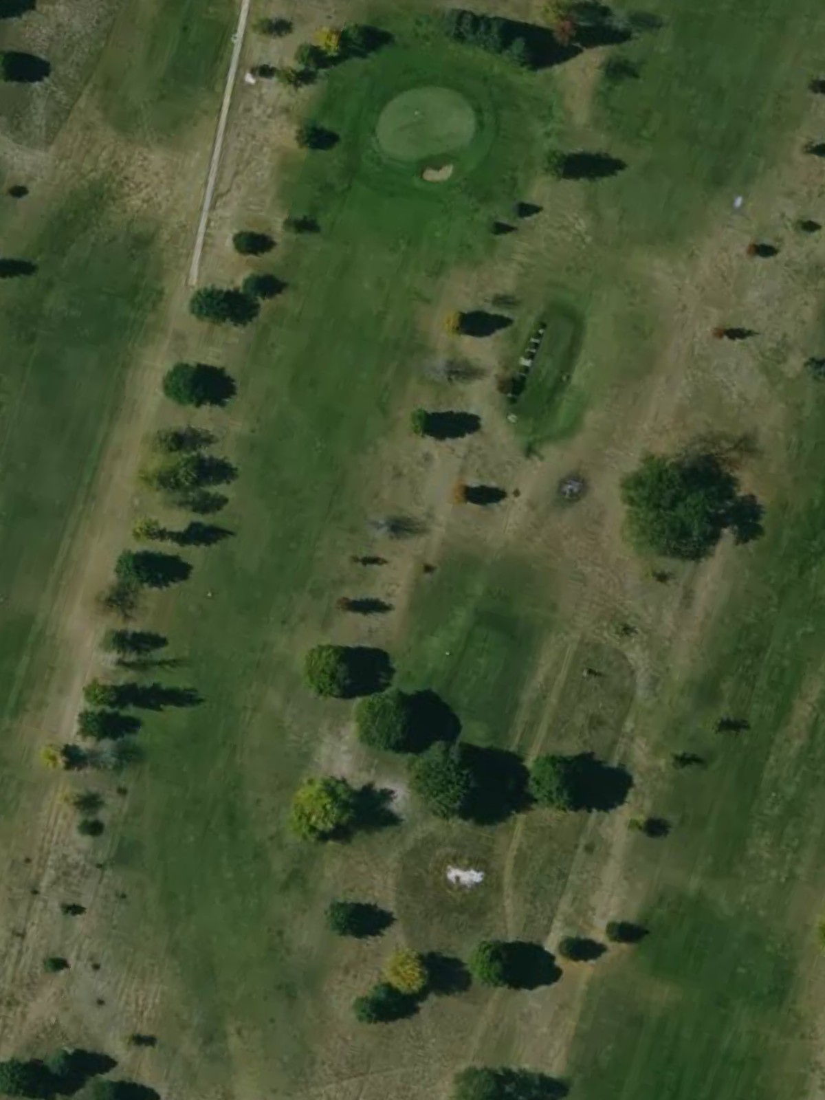 Hole 7 satellite