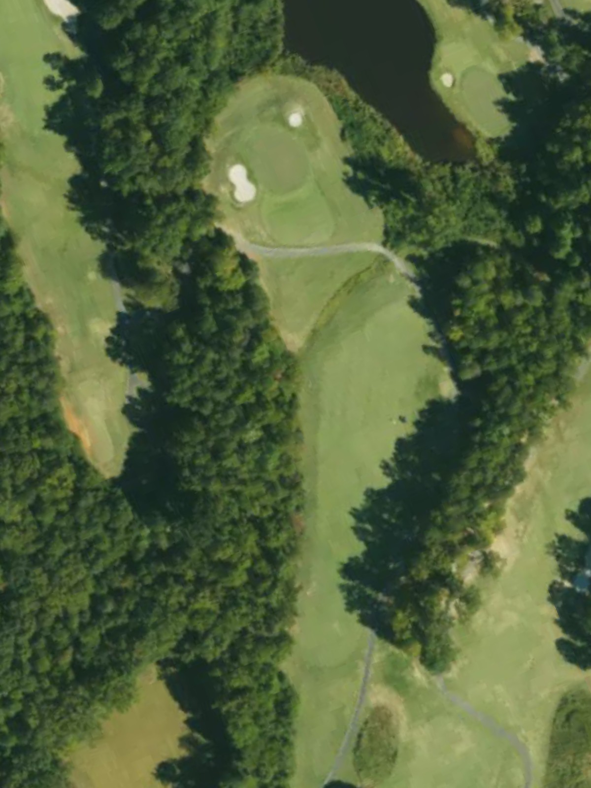 Hole 1 satellite