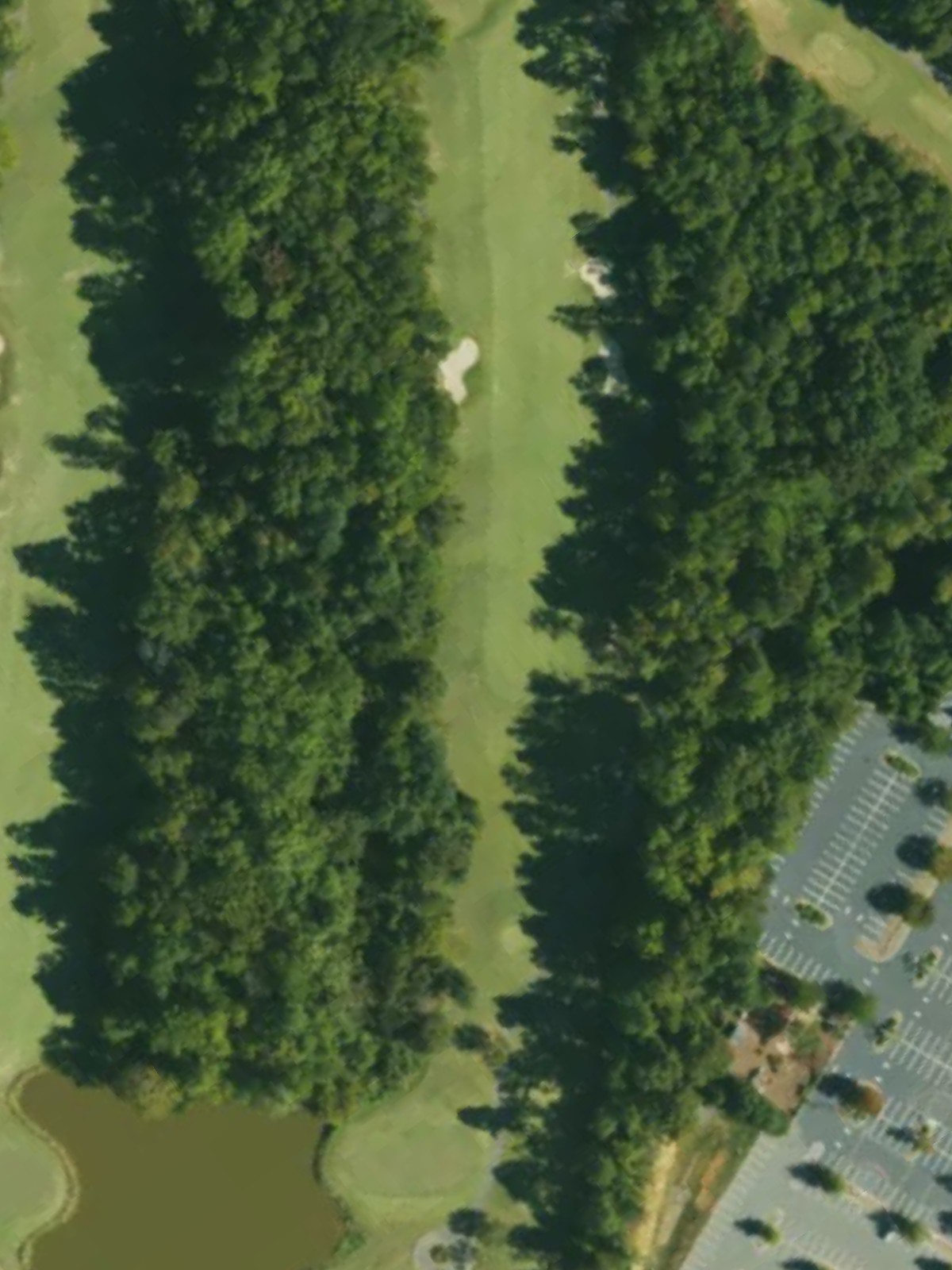 Hole 10 satellite
