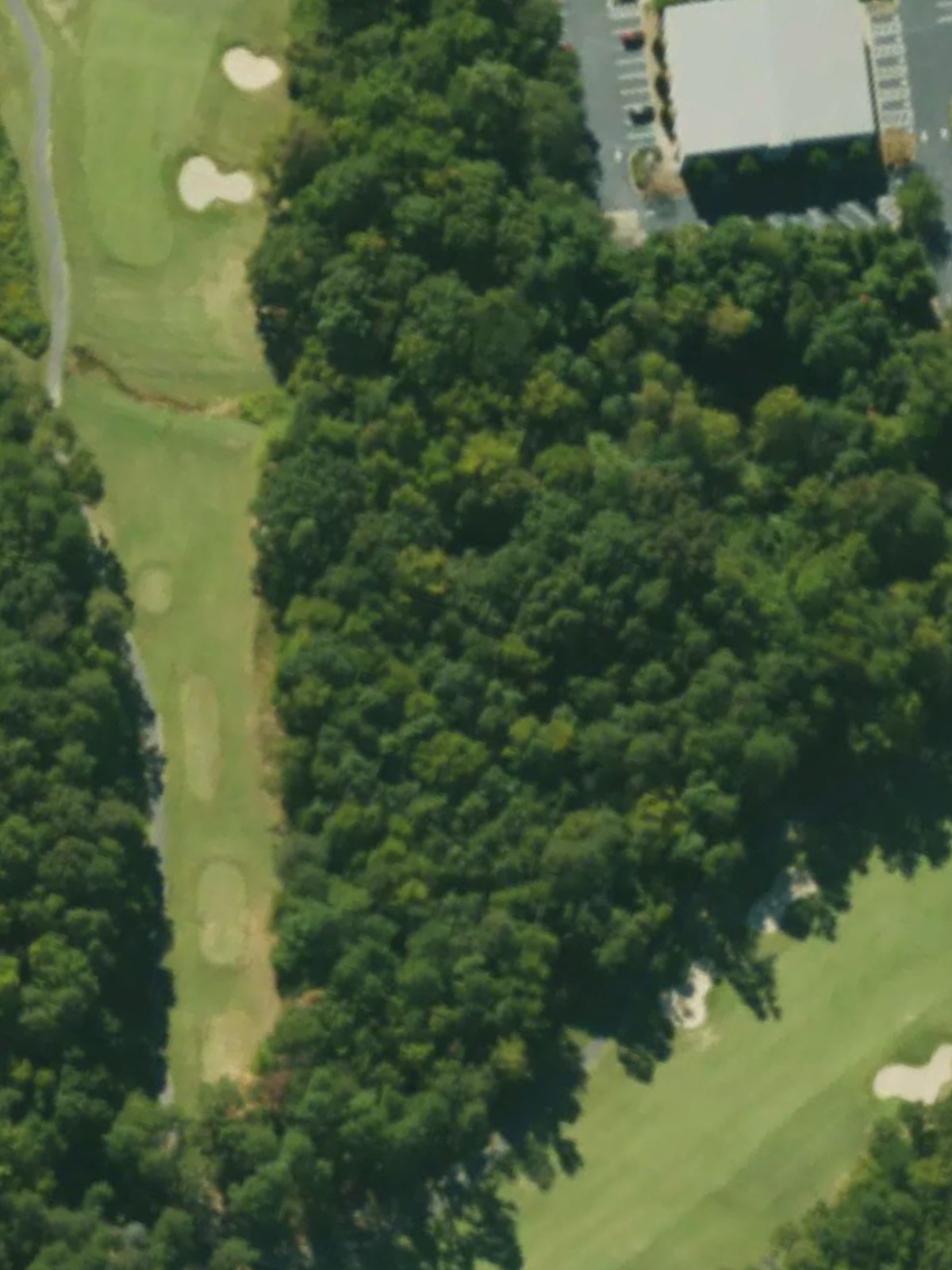 Hole 11 satellite