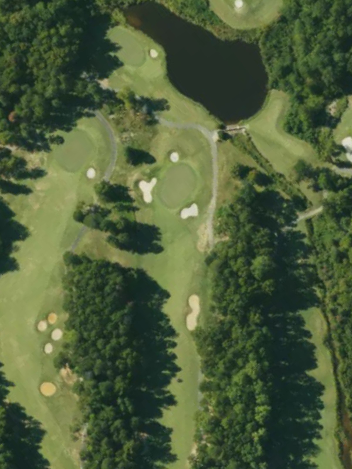 Hole 7 satellite