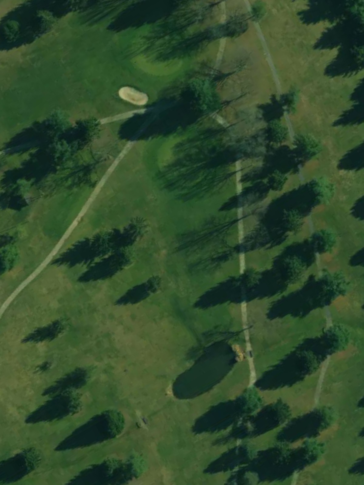 Hole 12 satellite