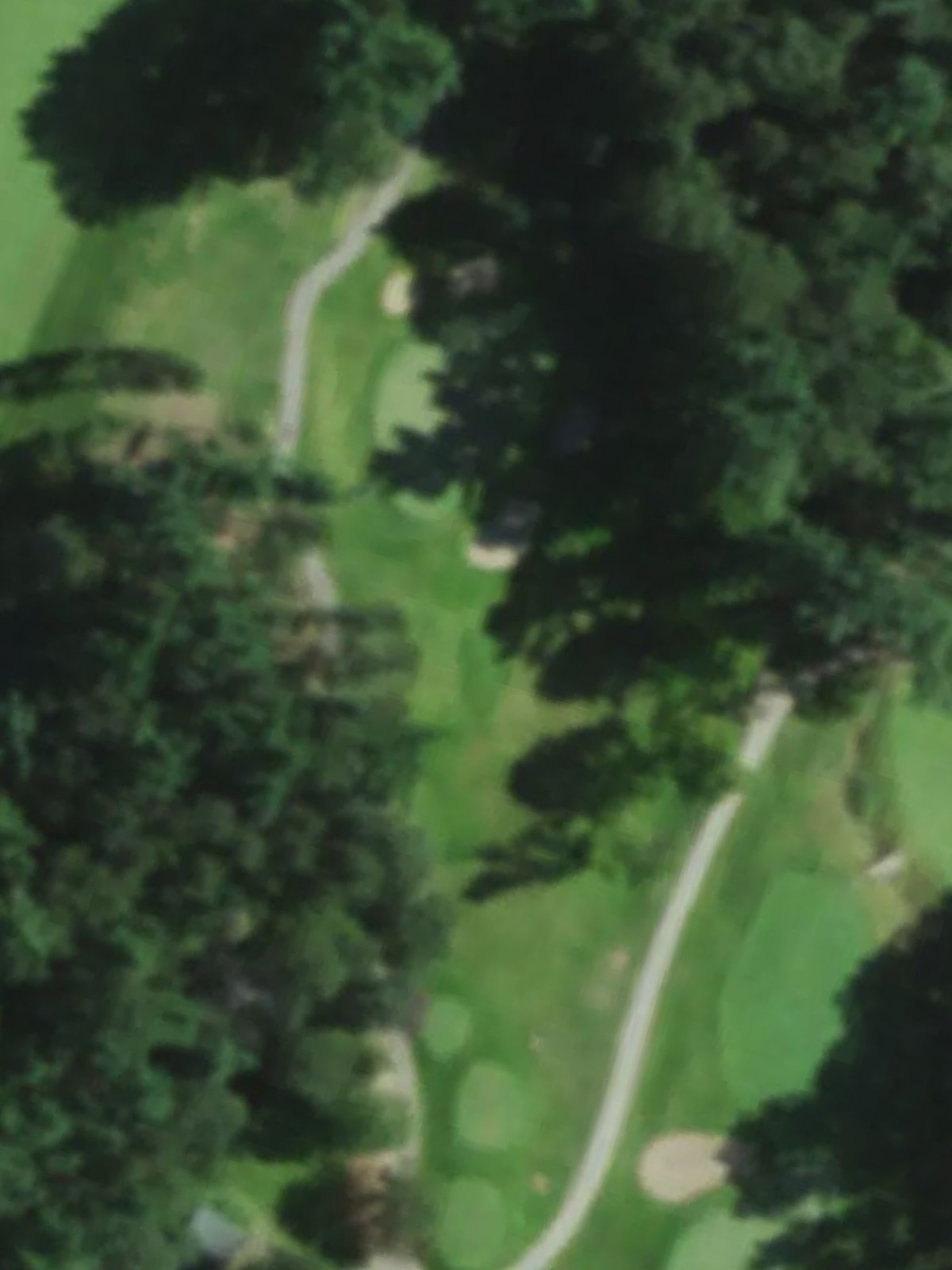 Hole 15 satellite