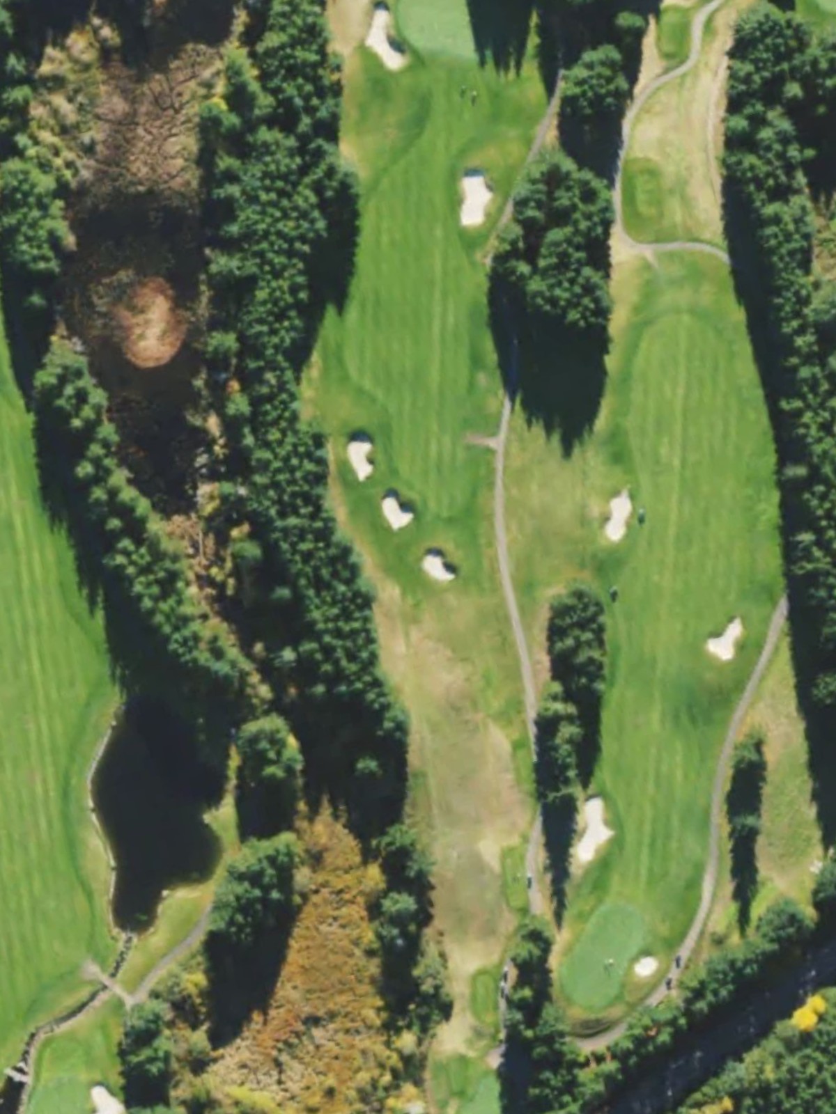 Hole 1 satellite