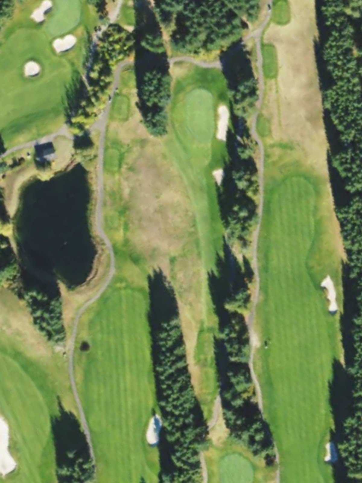Hole 5 satellite