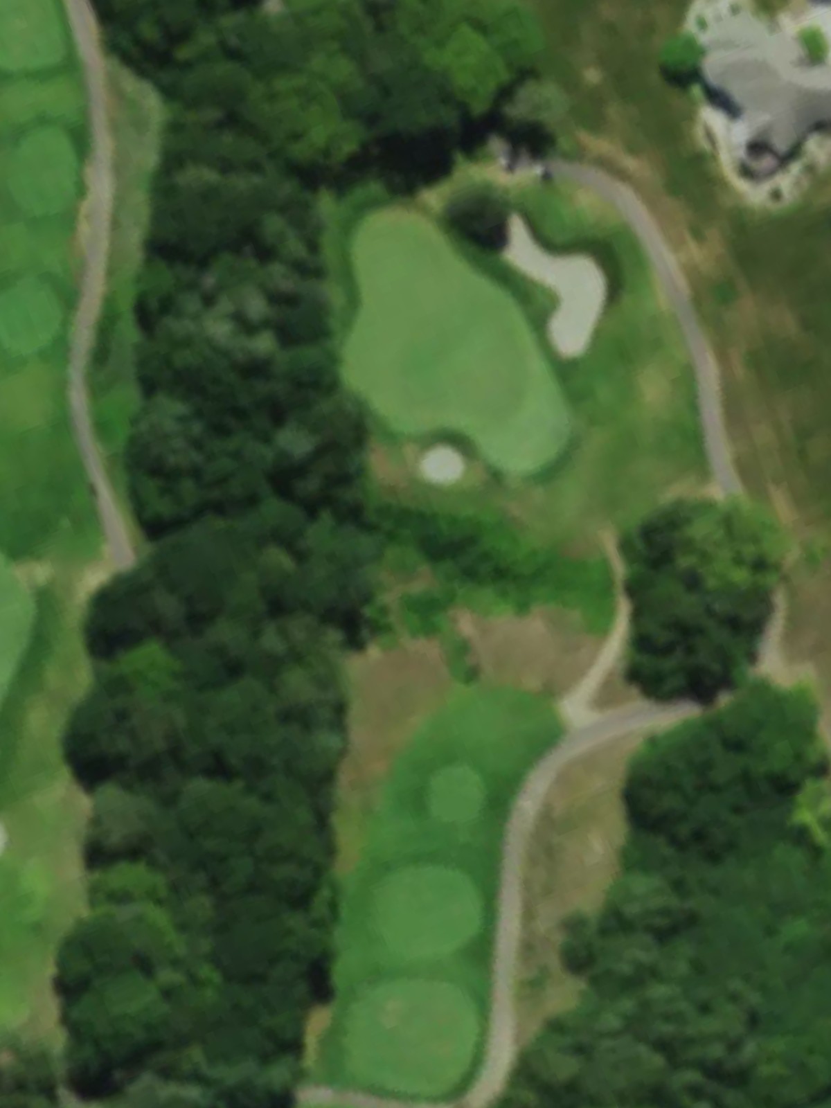 Hole 15 satellite