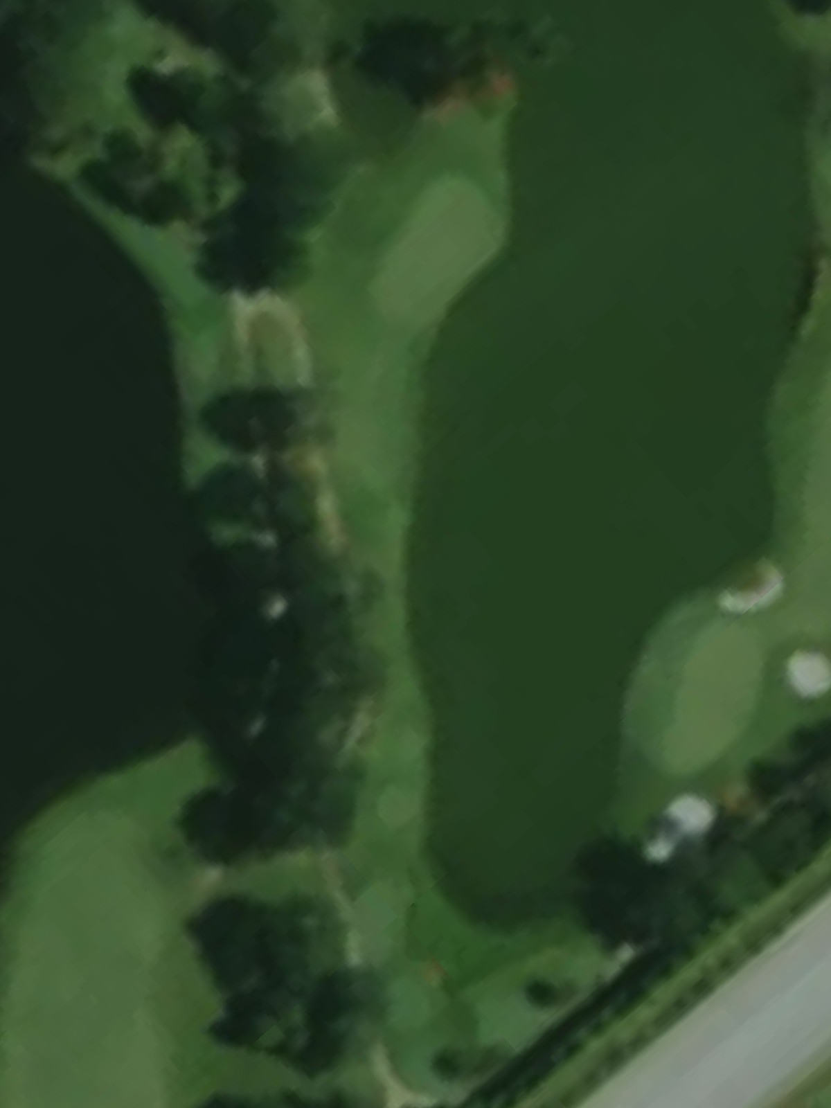 Hole 7 satellite
