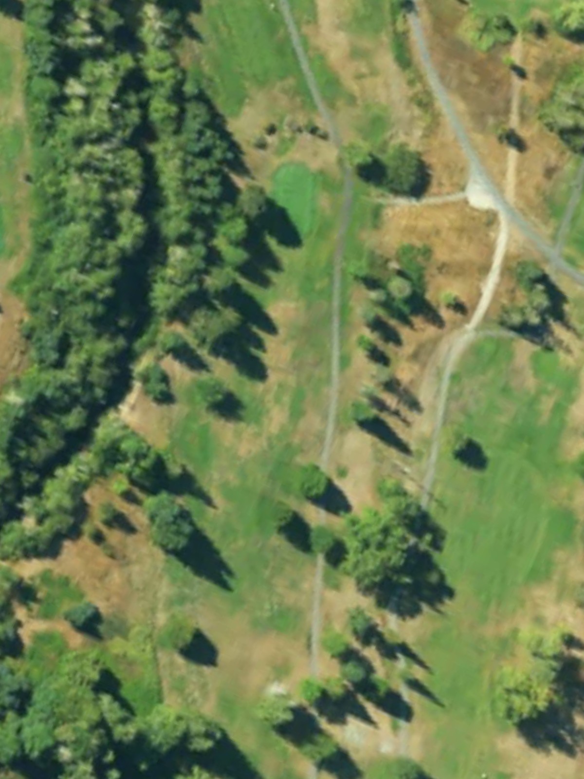 Hole 10 satellite