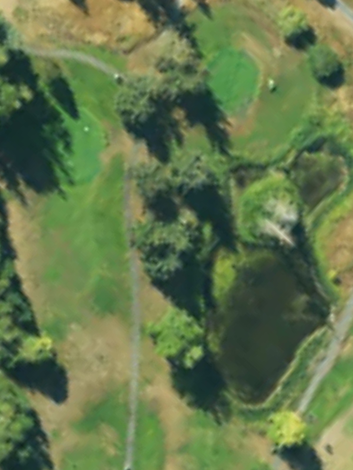 Hole 11 satellite