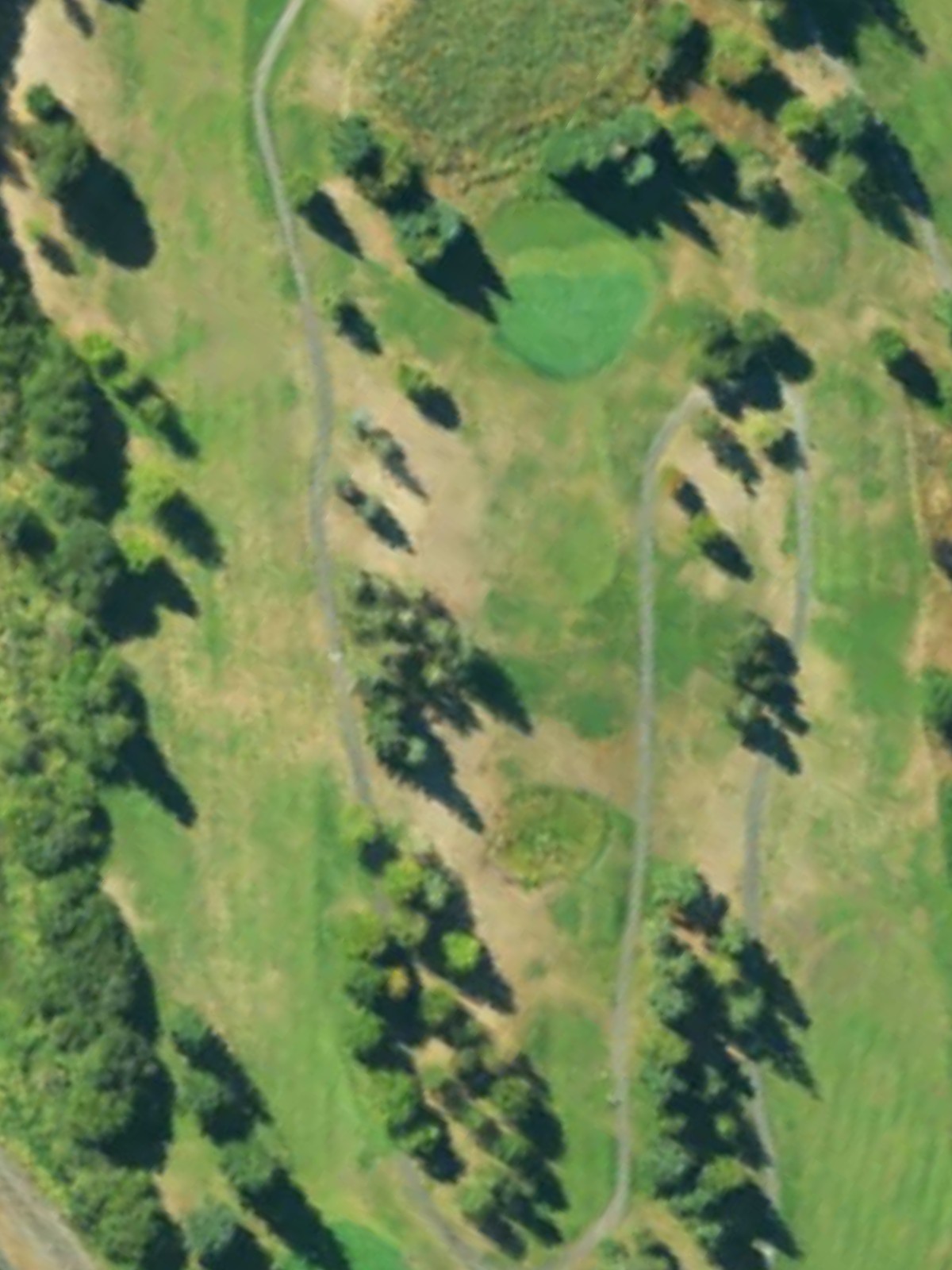 Hole 15 satellite