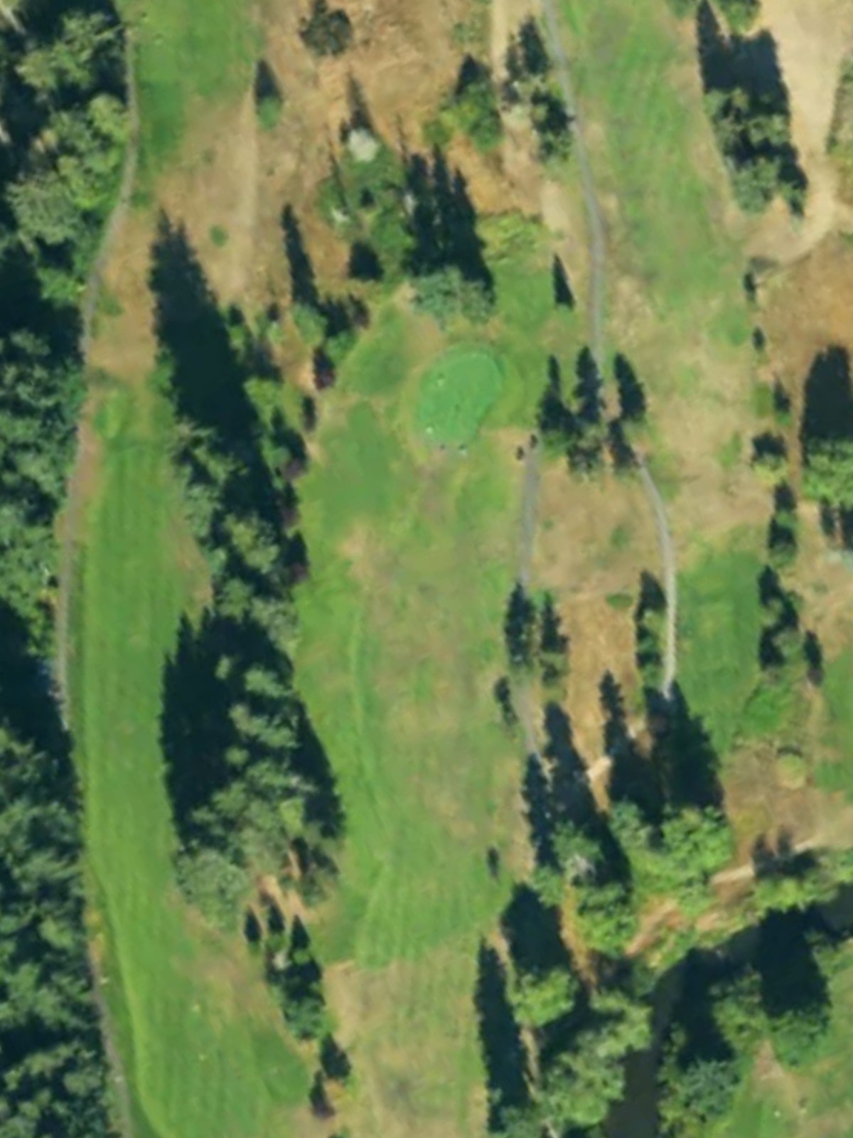 Hole 6 satellite