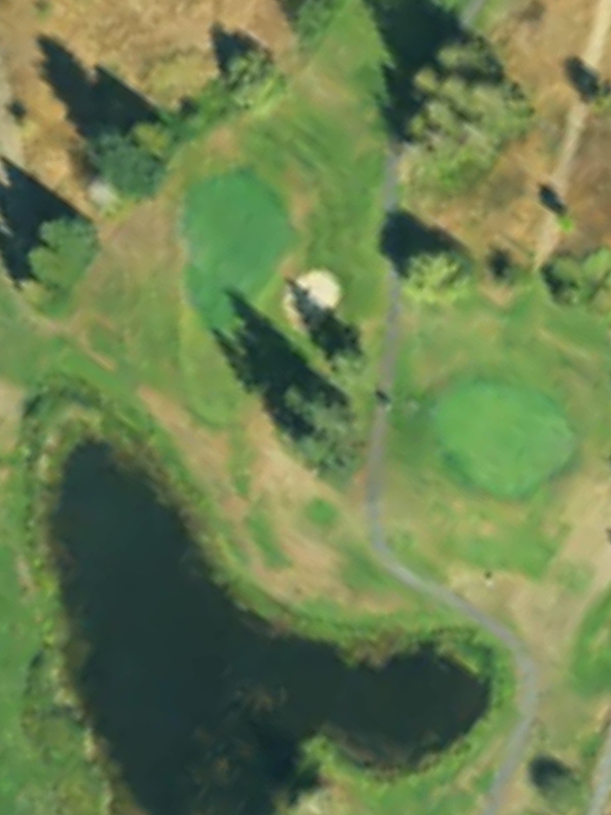 Hole 8 satellite