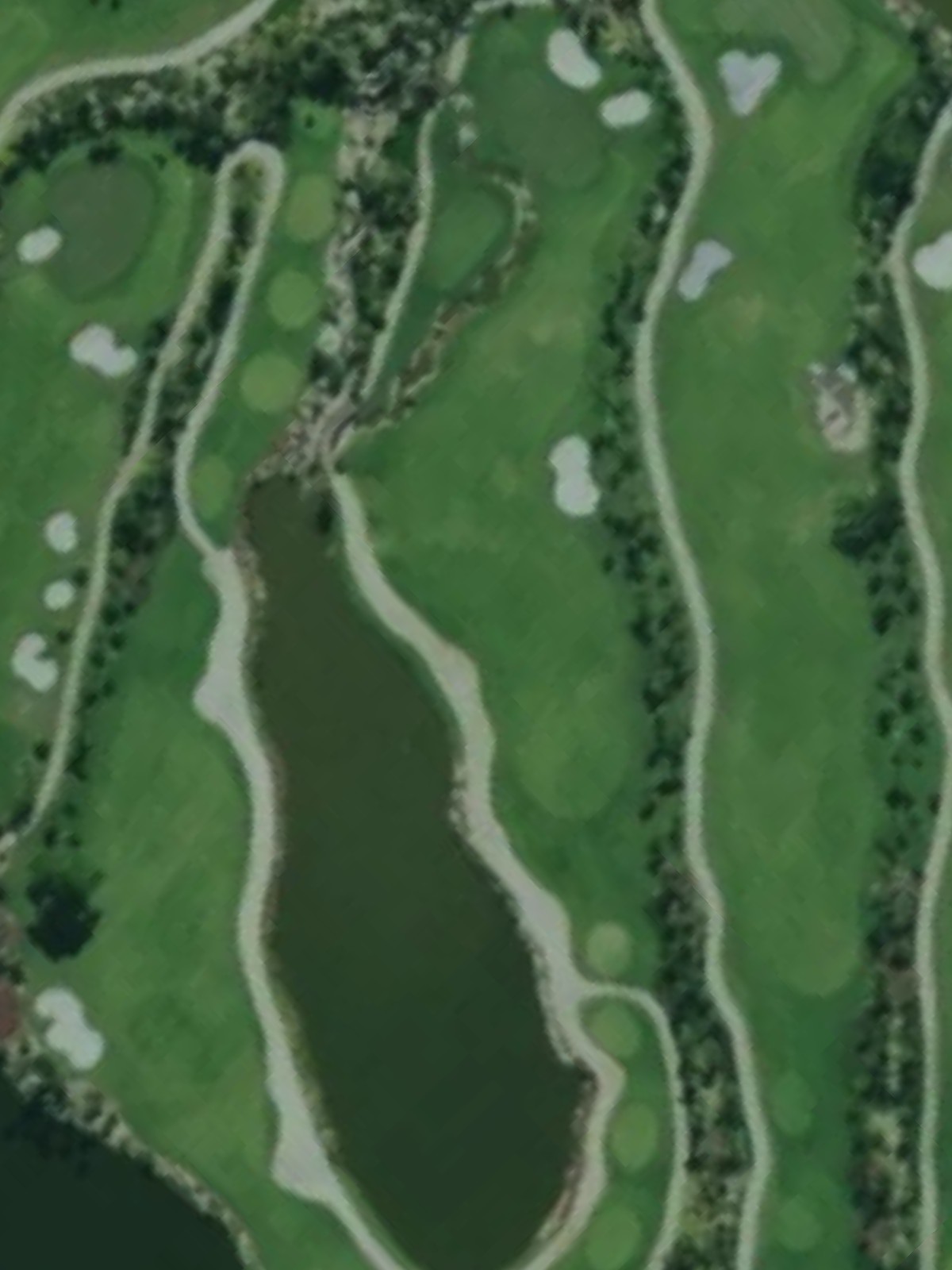 Hole 10 satellite