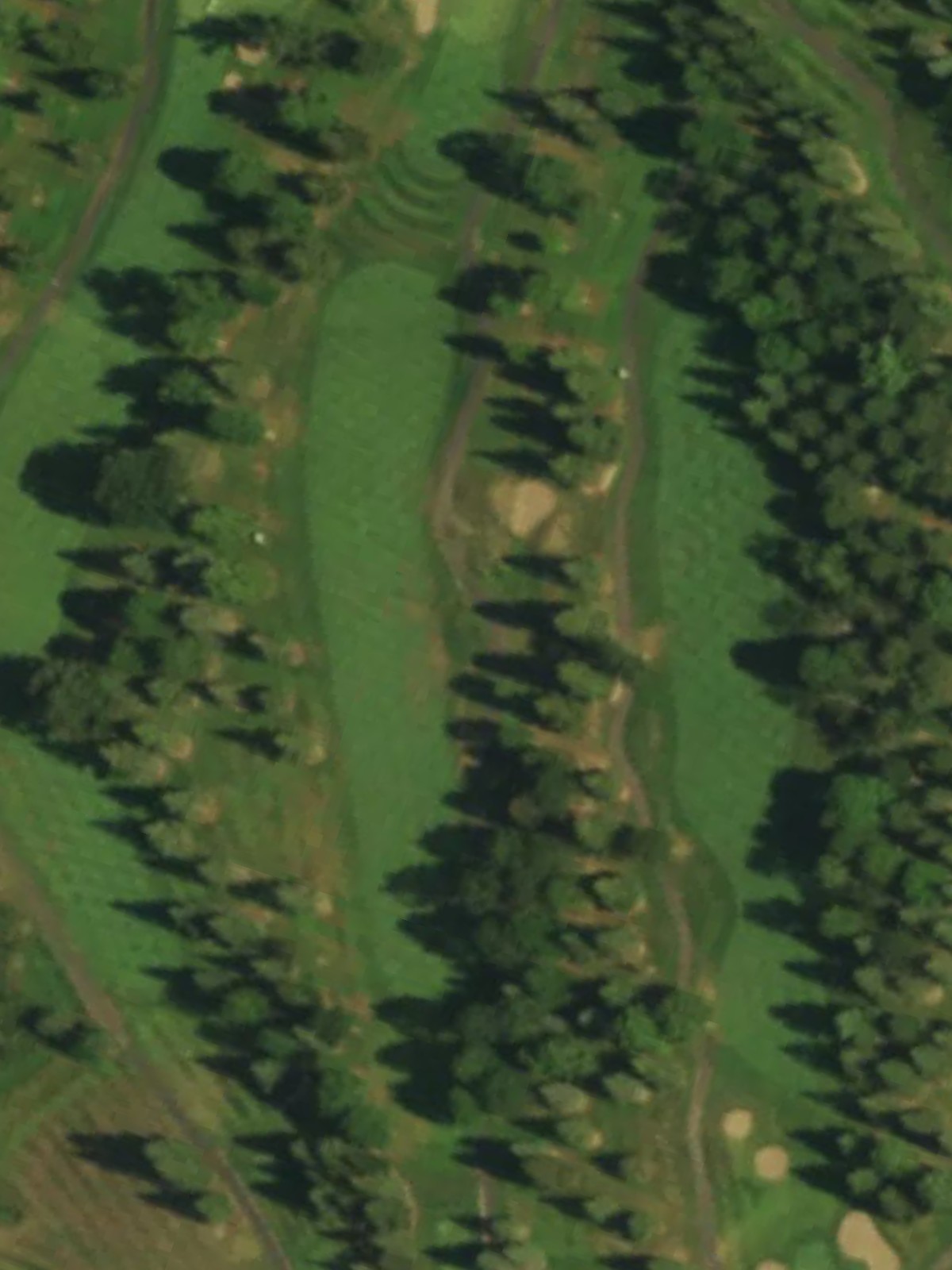 Hole 1 satellite