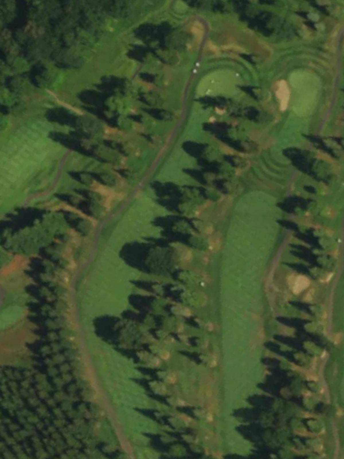 Hole 10 satellite