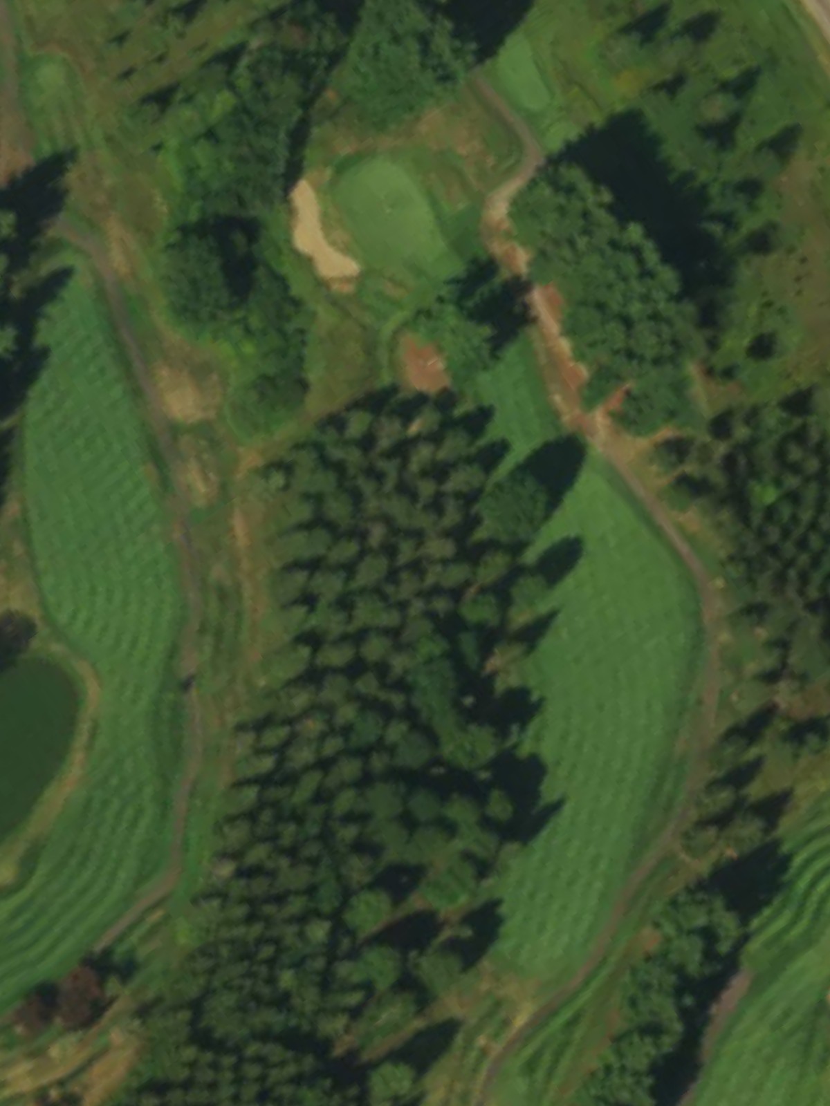 Hole 12 satellite