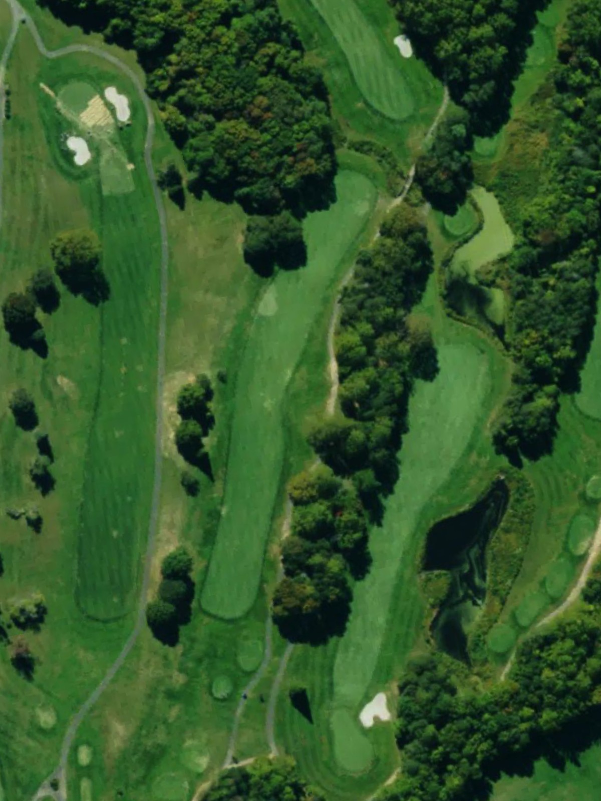 Hole 1 satellite