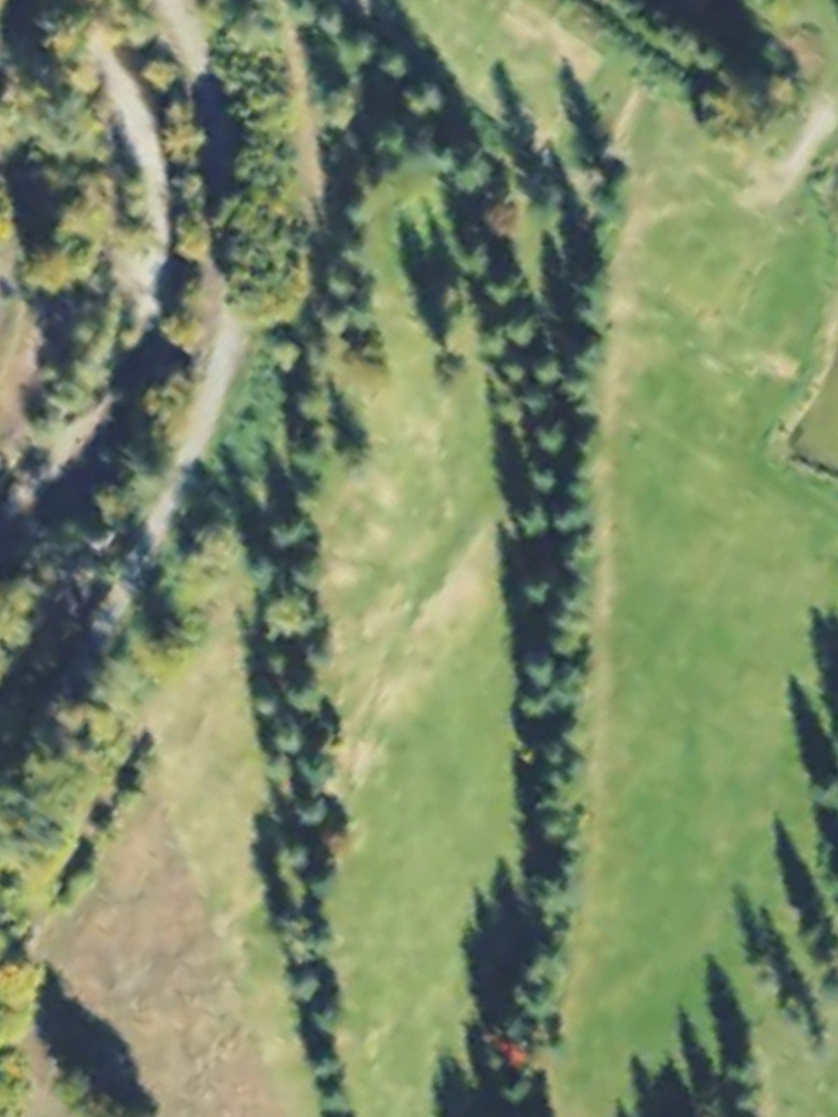 Hole 1 satellite