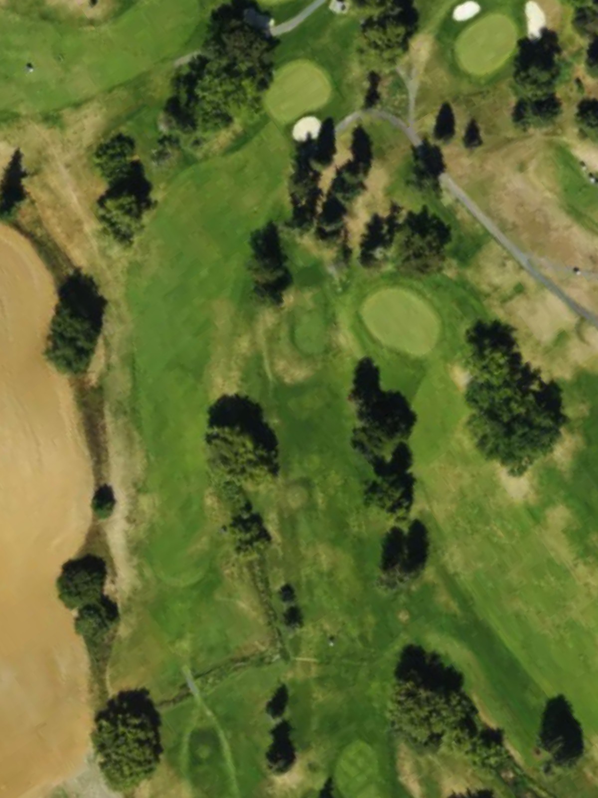 Hole 15 satellite
