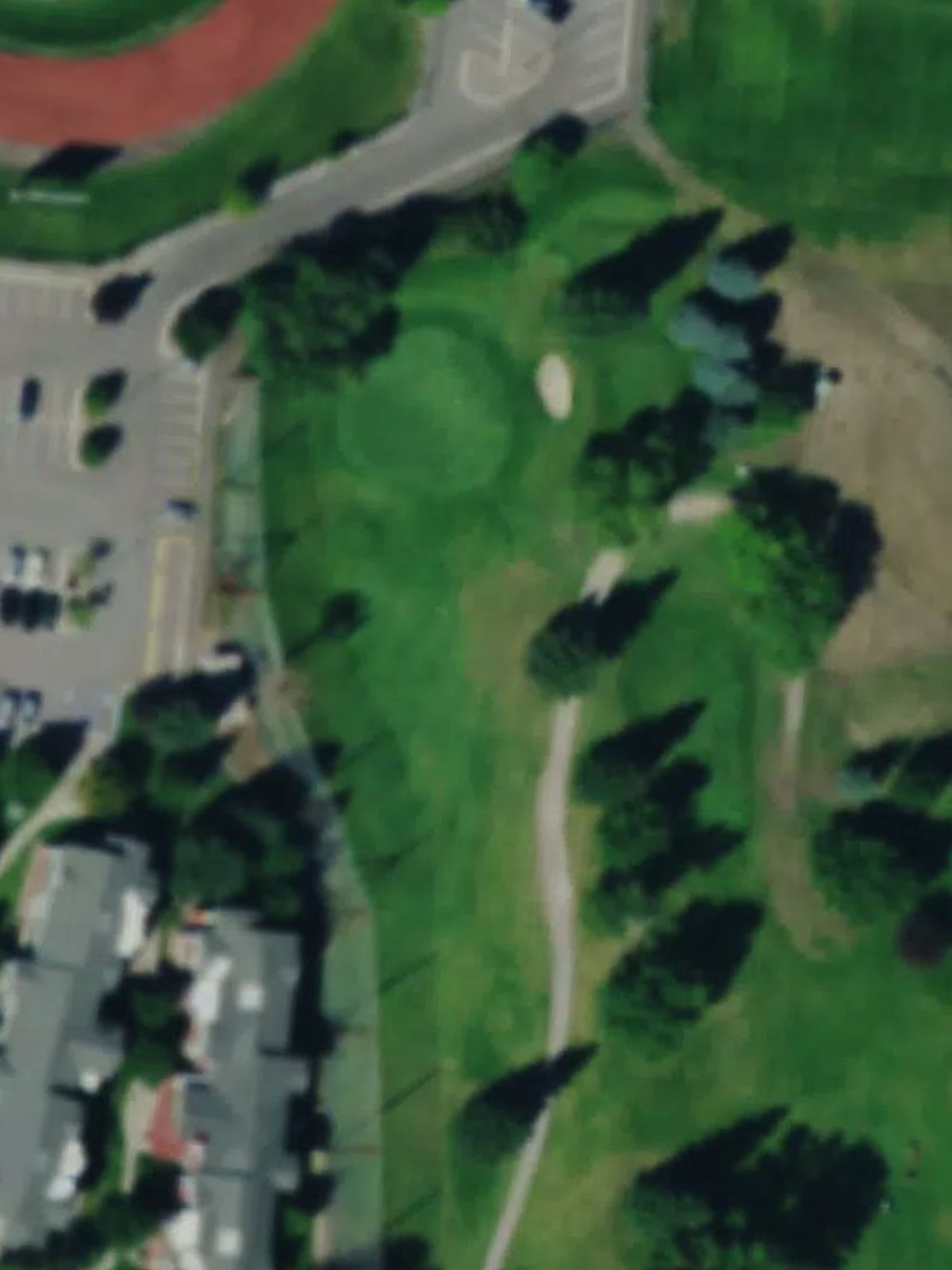 Hole 7 satellite