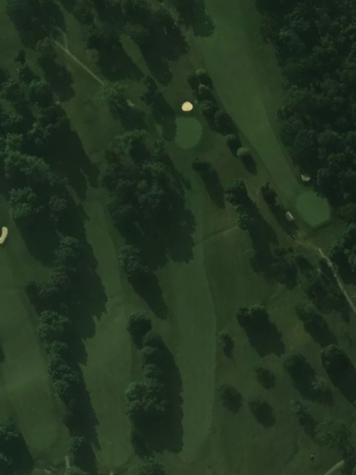 Hole 13 satellite