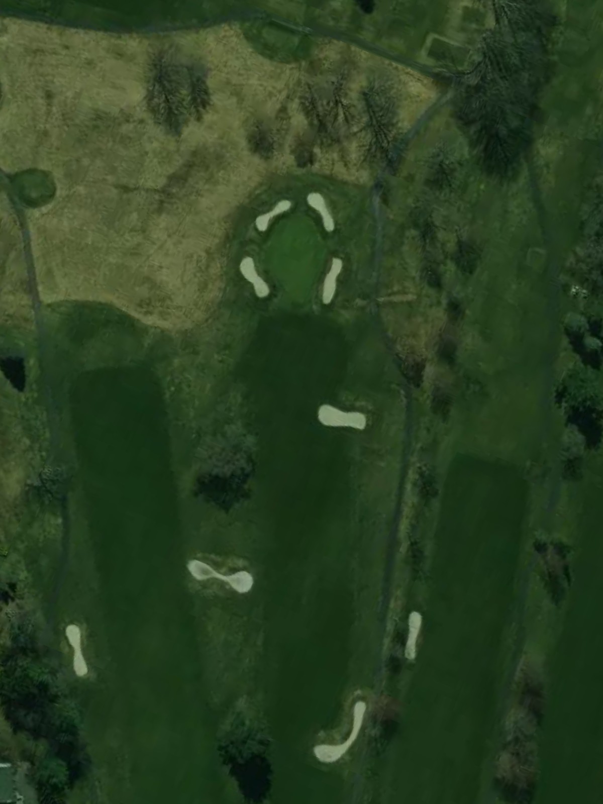 Hole 7 satellite