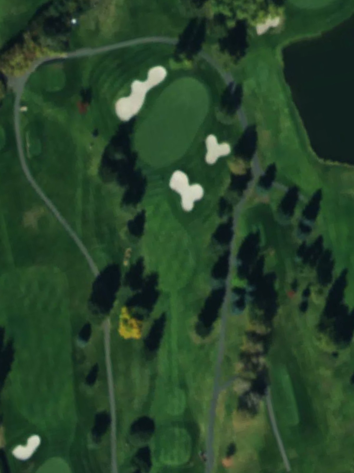 Hole 8 satellite