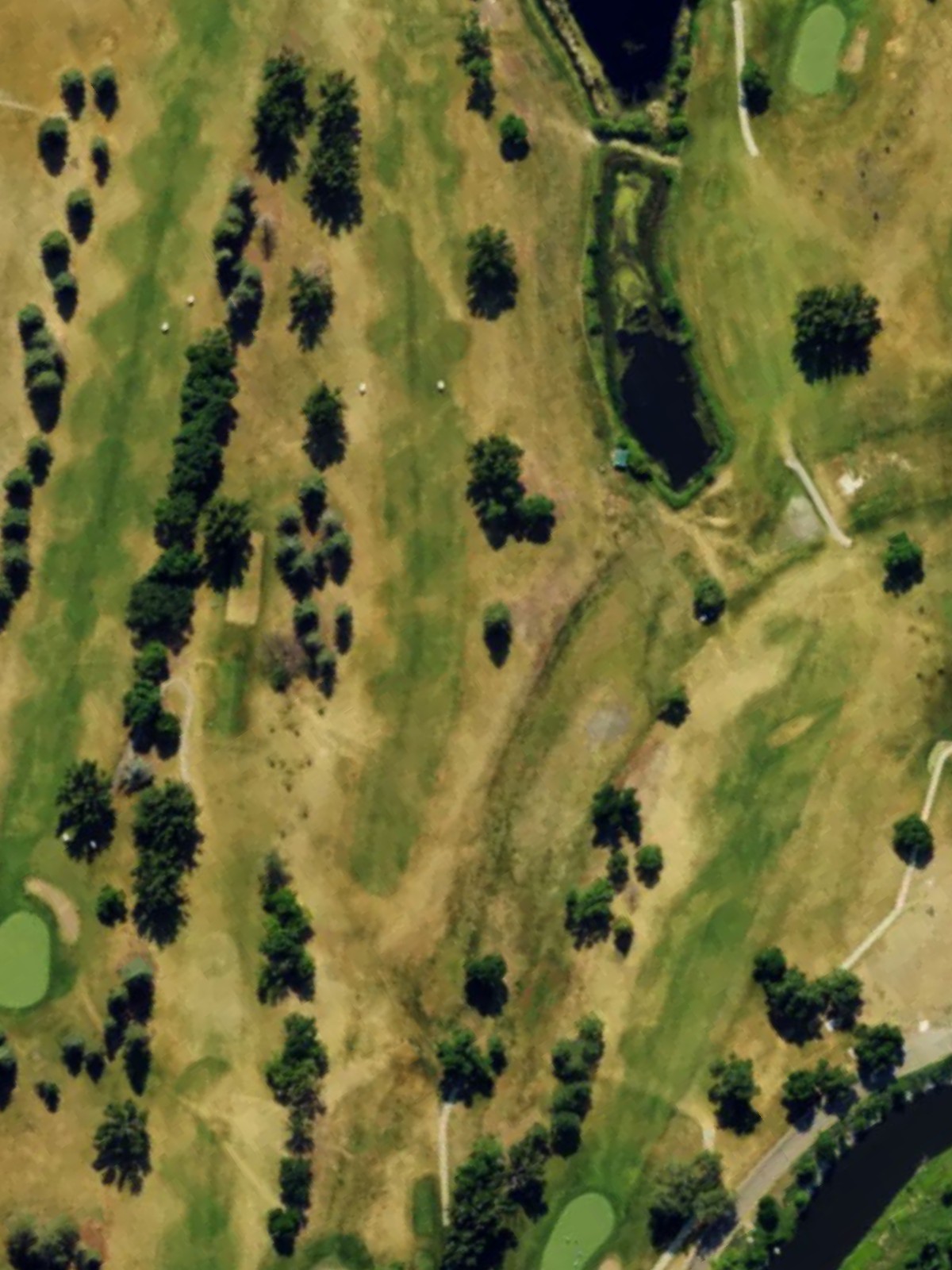 Hole 10 satellite