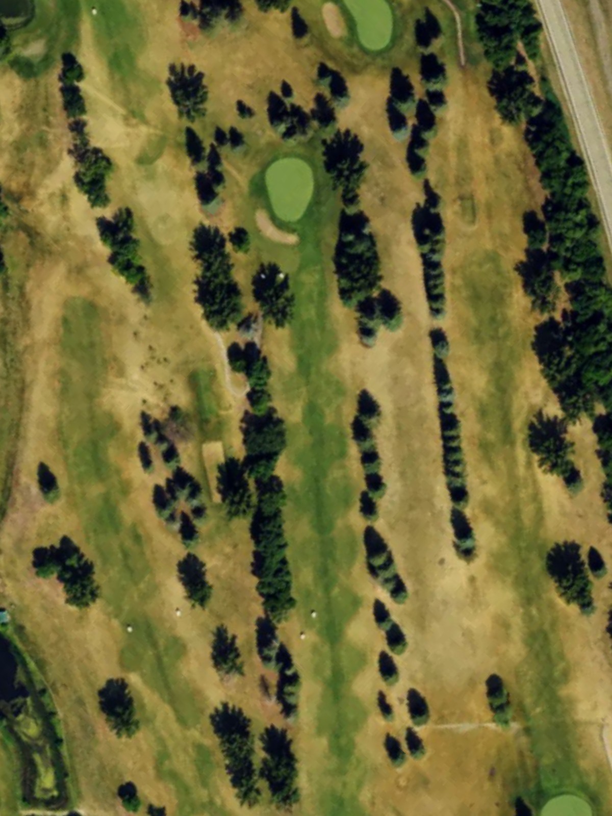 Hole 8 satellite