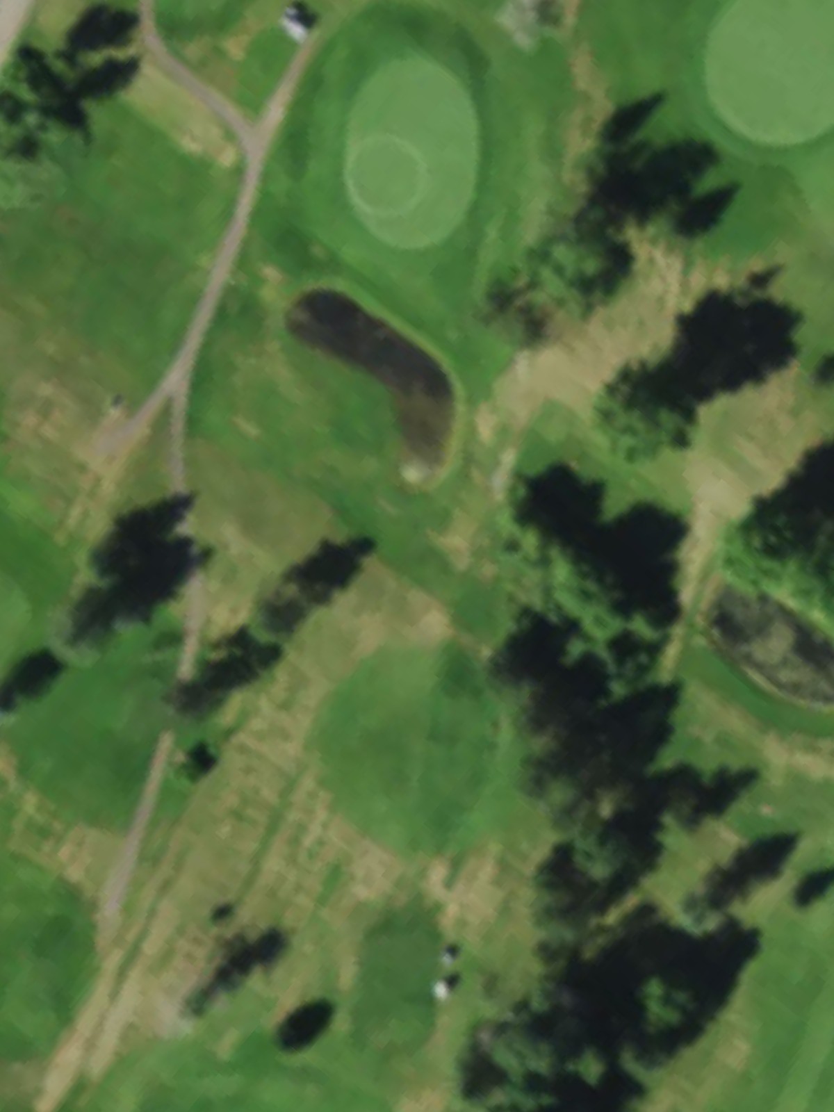 Hole 6 satellite