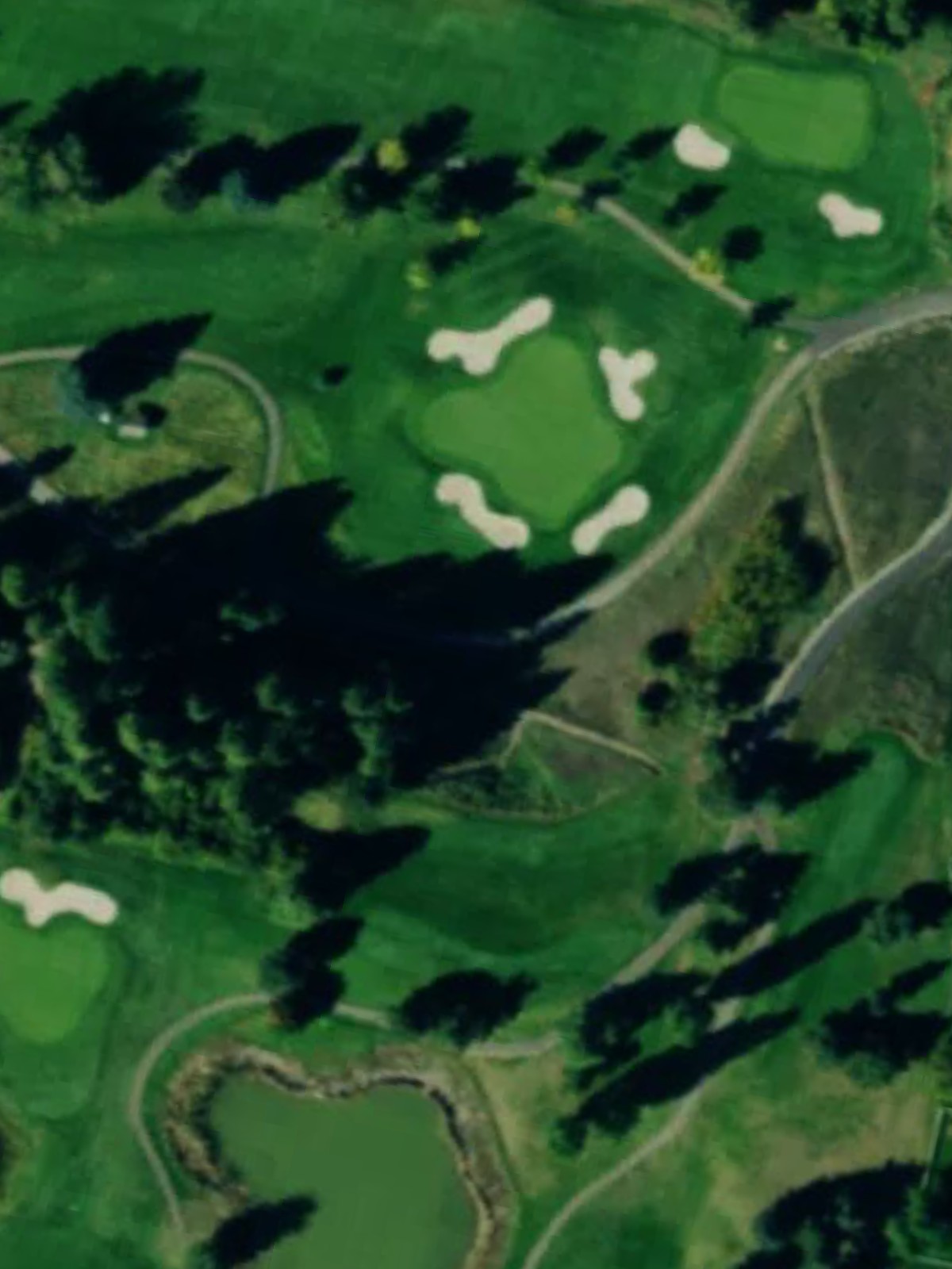 Hole 12 satellite