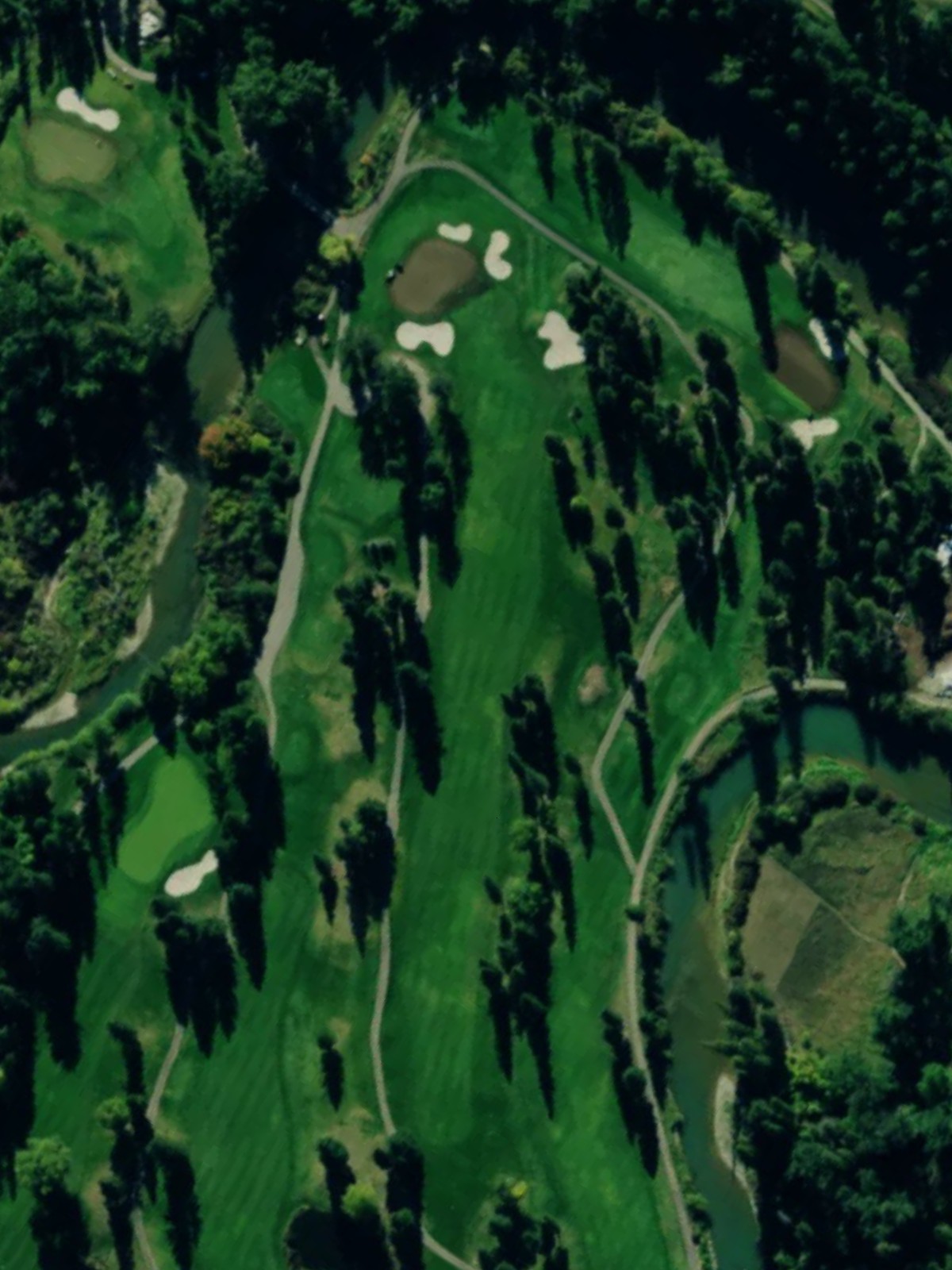 Hole 15 satellite