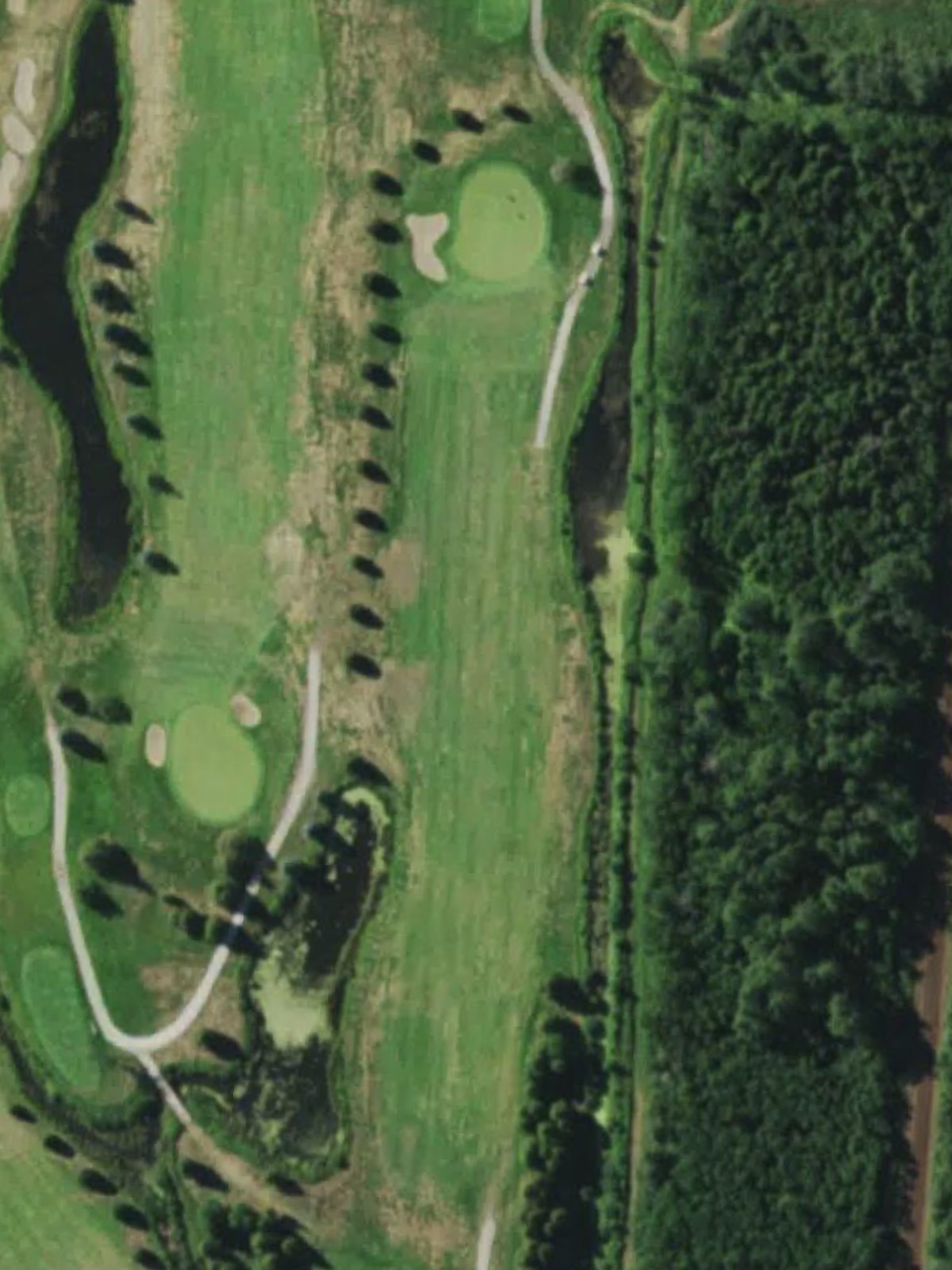 Hole 10 satellite