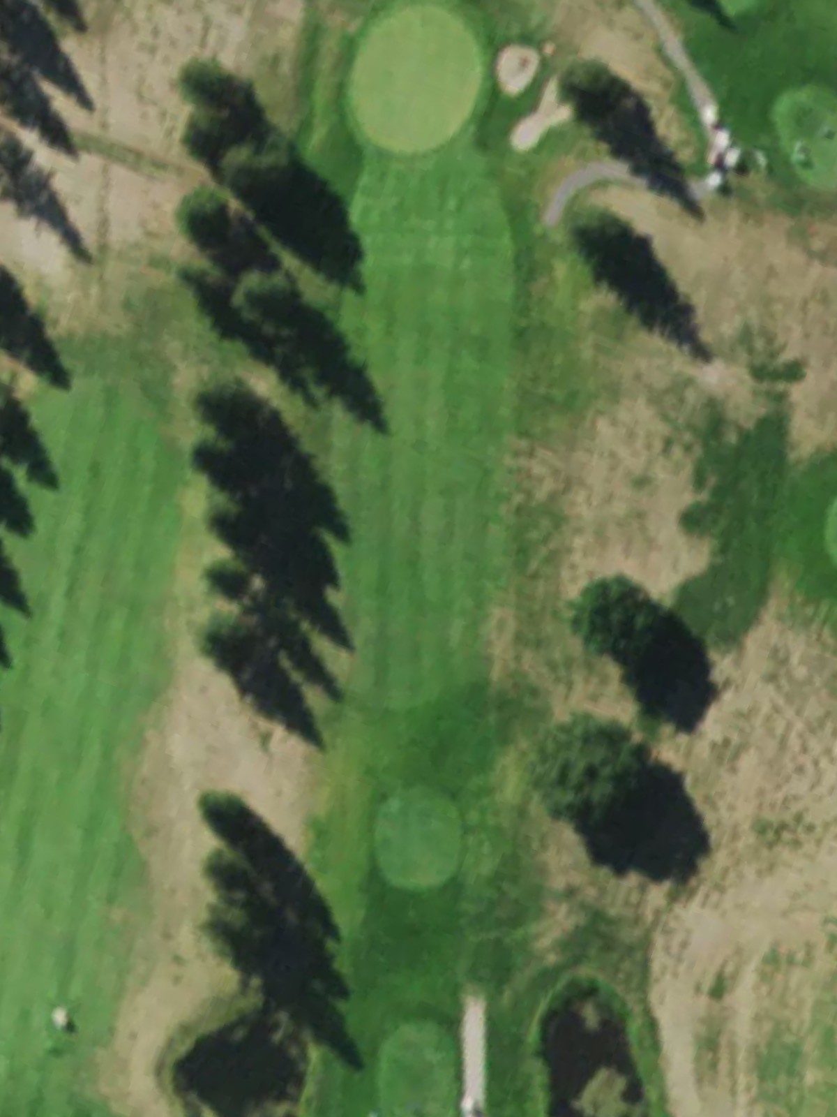 Hole 6 satellite
