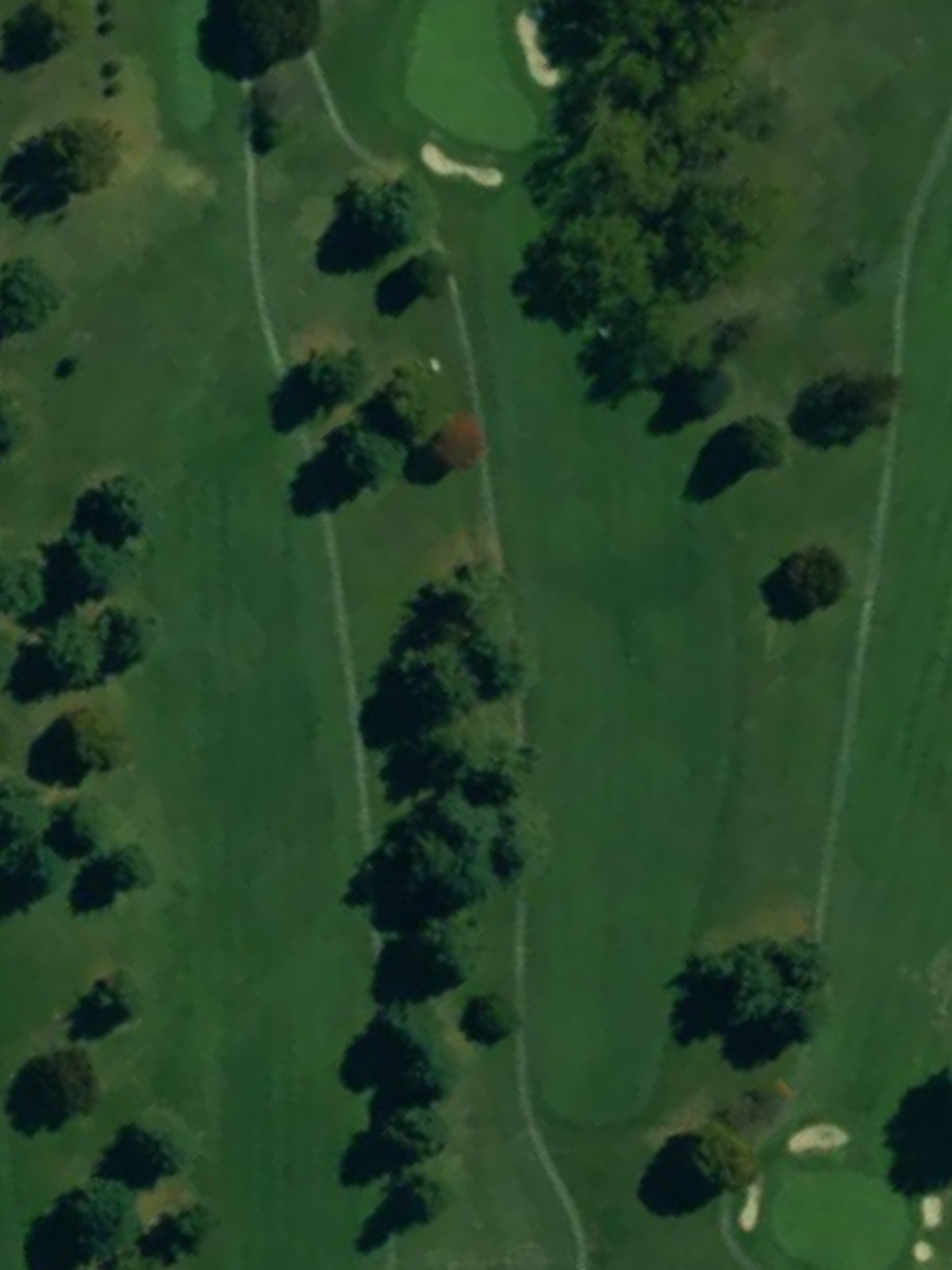 Hole 6 satellite