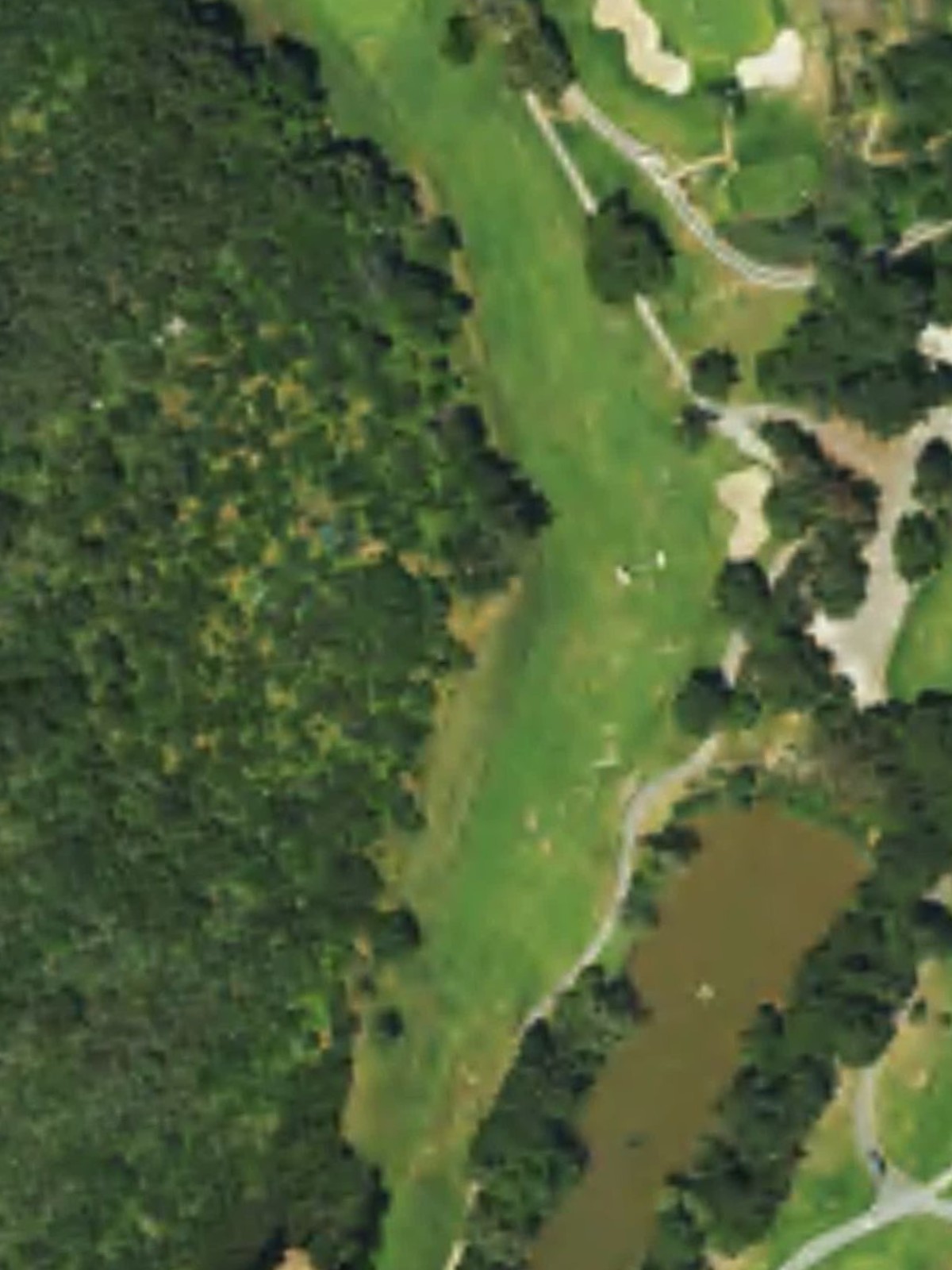 Hole 7 satellite