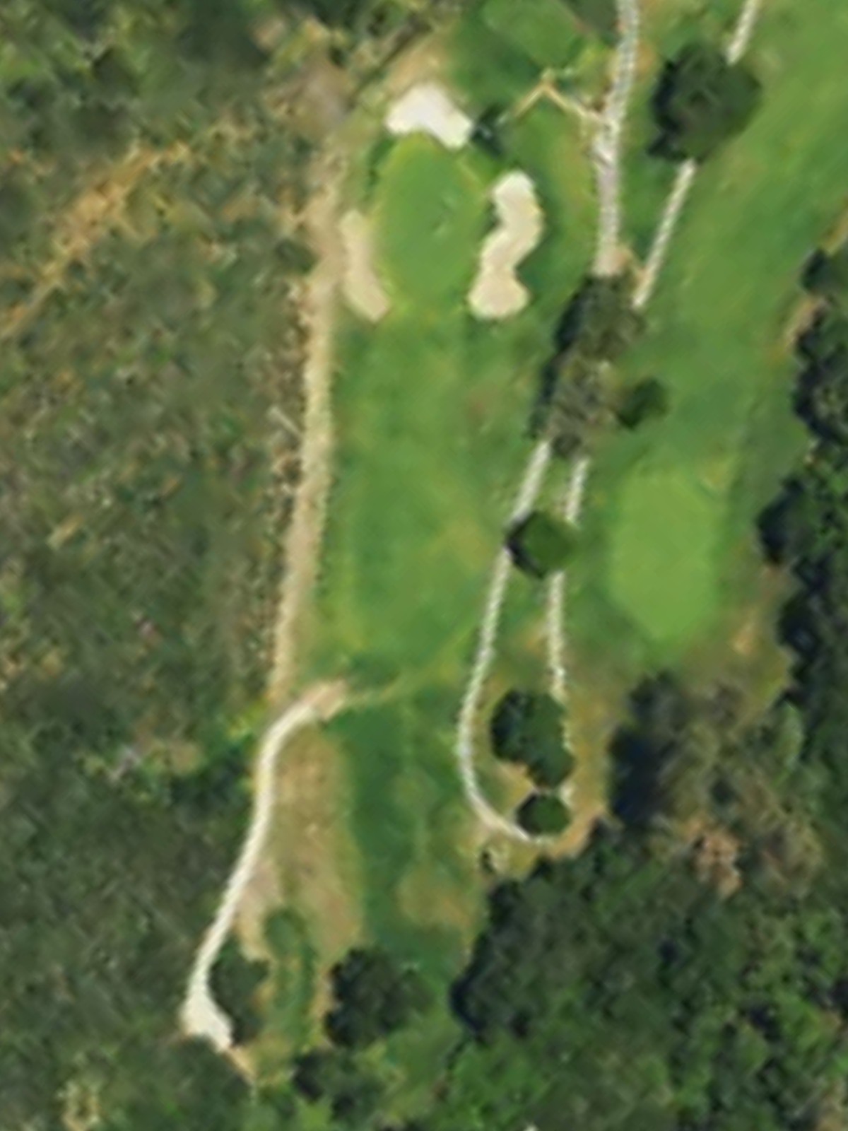 Hole 8 satellite