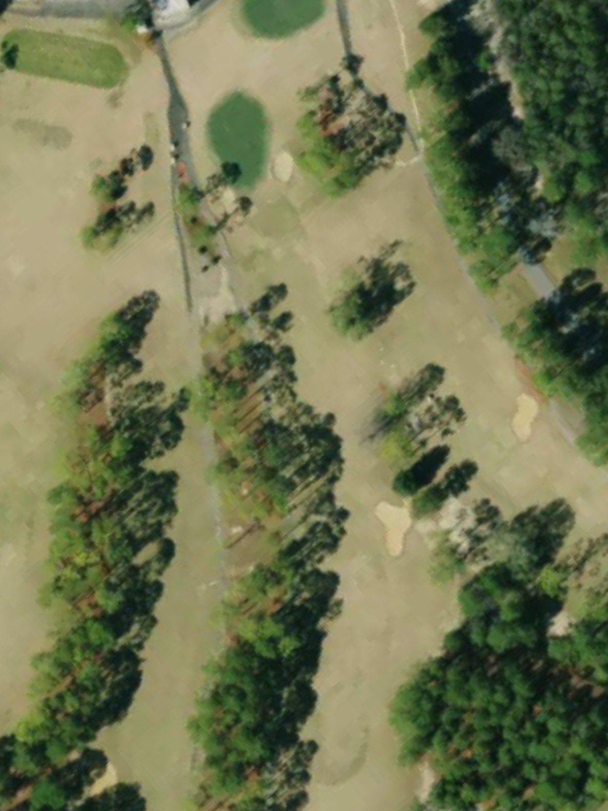 Hole 15 satellite