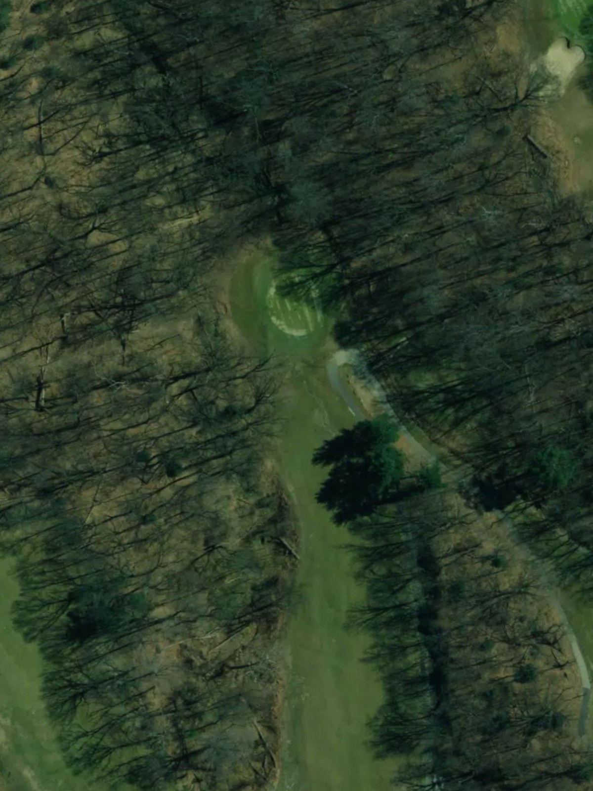 Hole 10 satellite