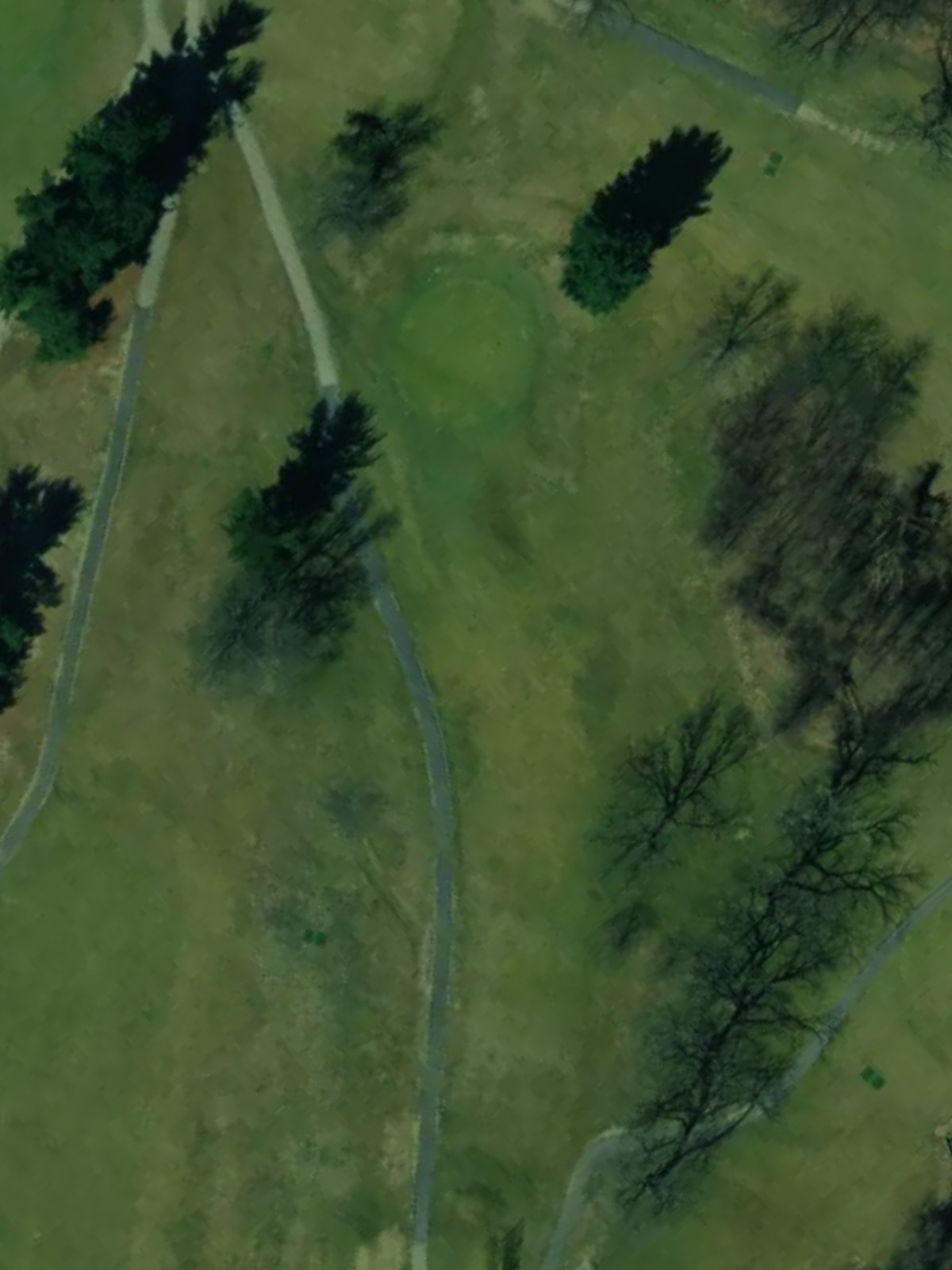 Hole 6 satellite