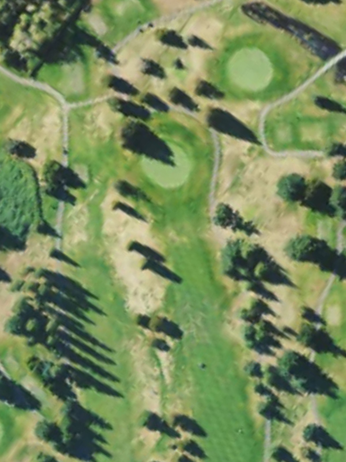 Hole 10 satellite