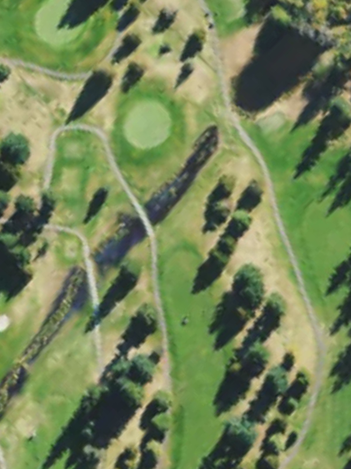 Hole 12 satellite