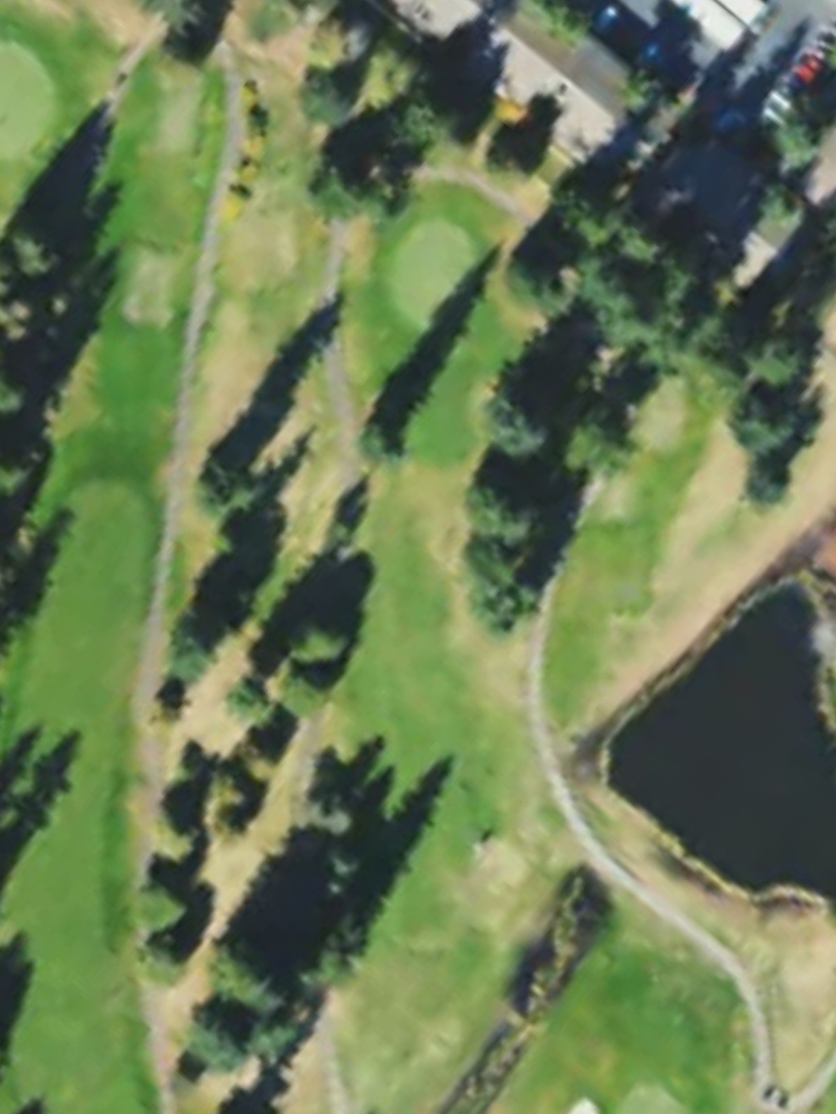 Hole 13 satellite