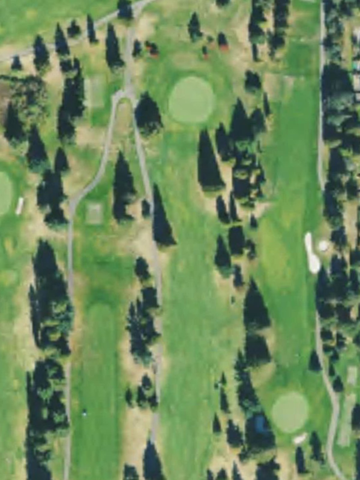 Hole 4 satellite