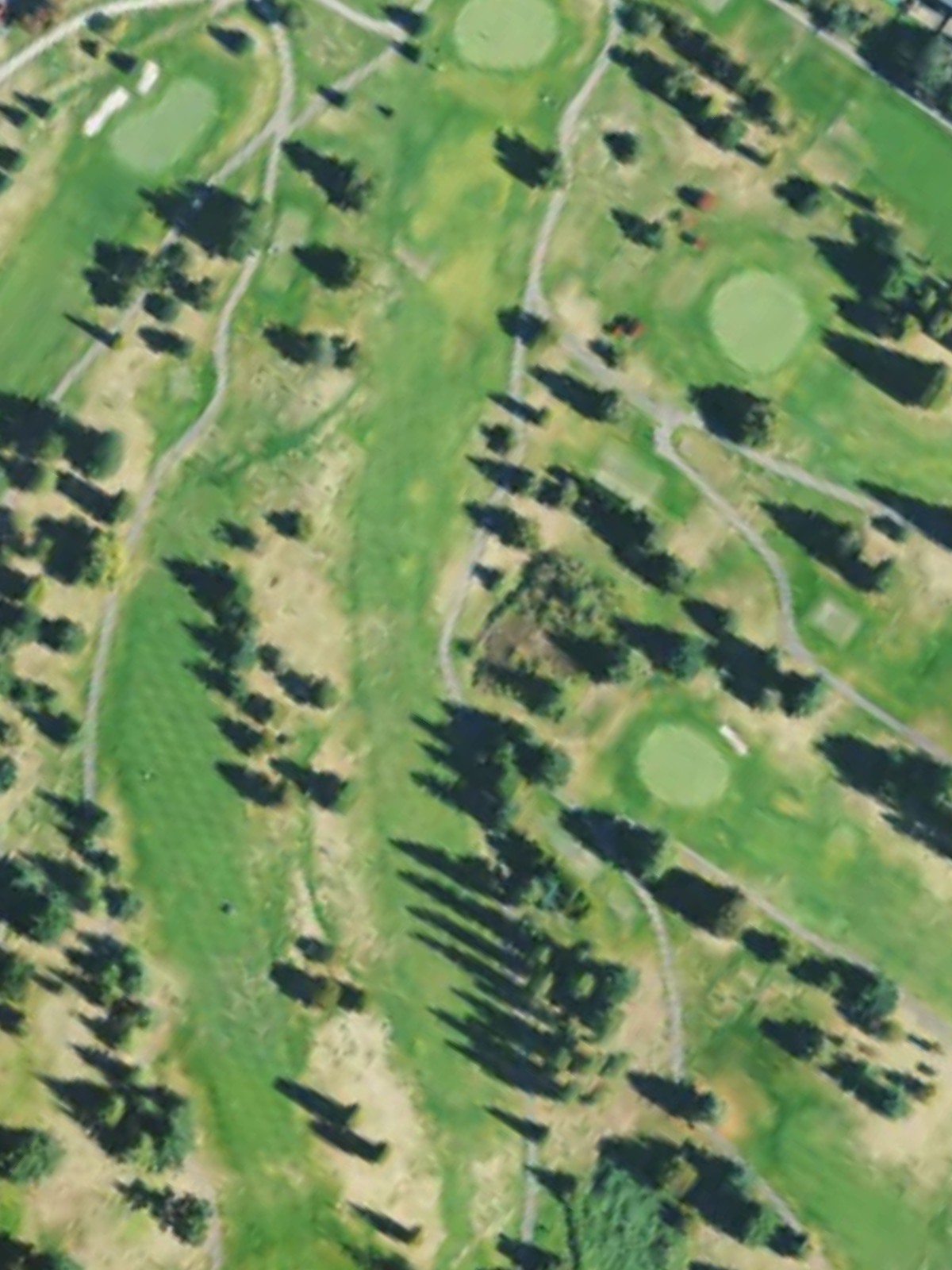 Hole 9 satellite