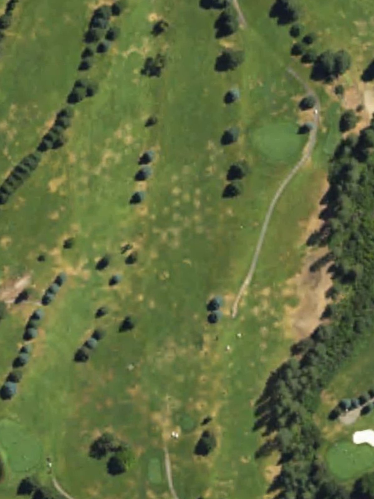 Hole 13 satellite
