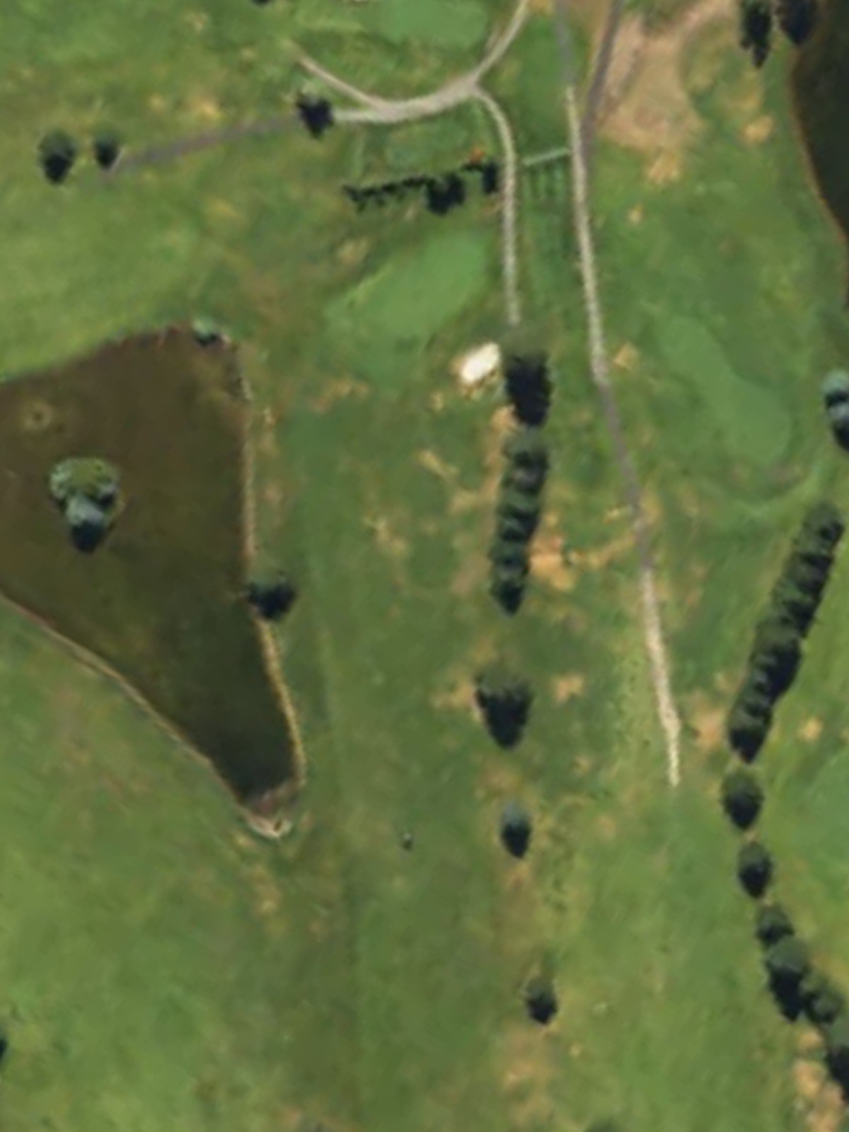 Hole 4 satellite