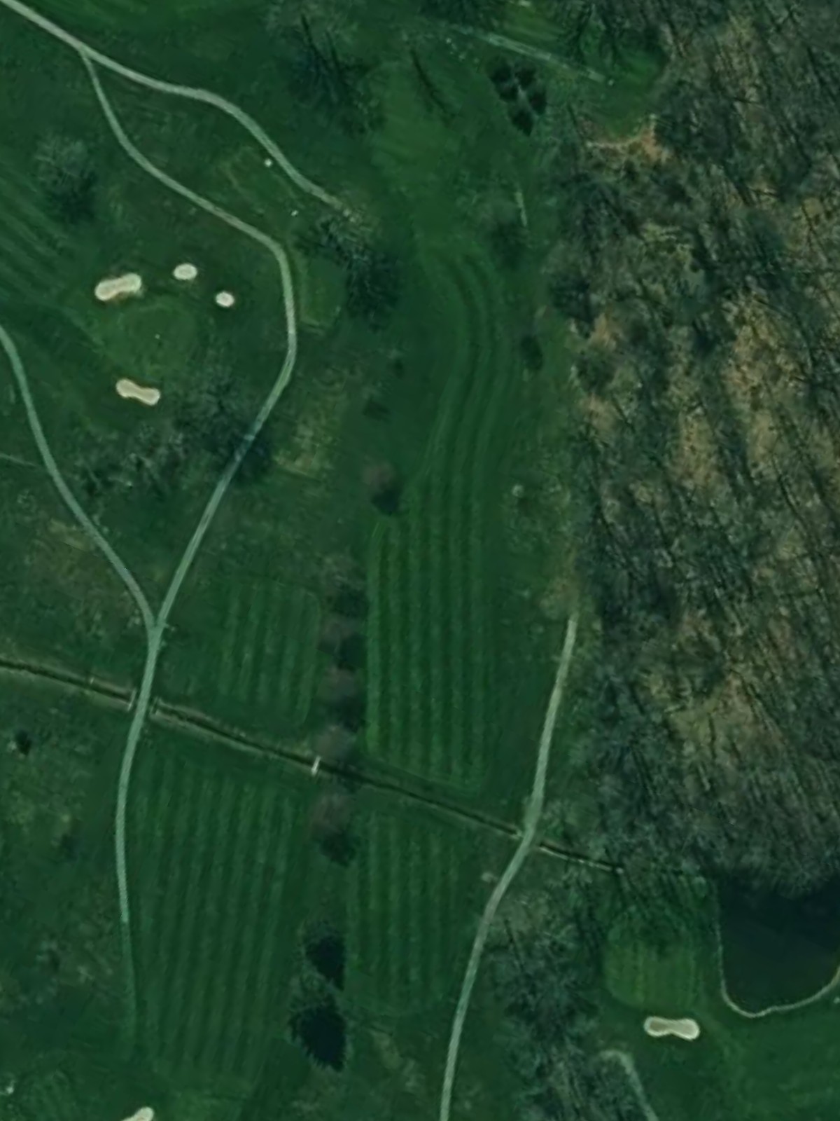 Hole 8 satellite