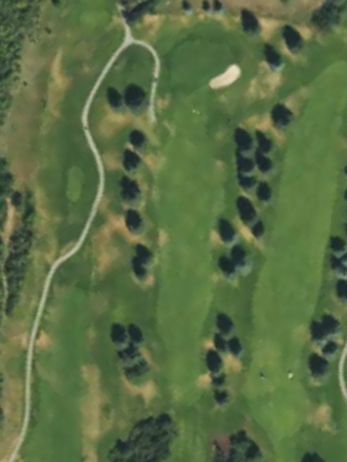 Hole 15 satellite